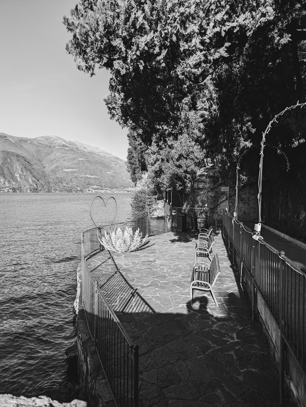 a black and white photo of benches on the side of a lake
