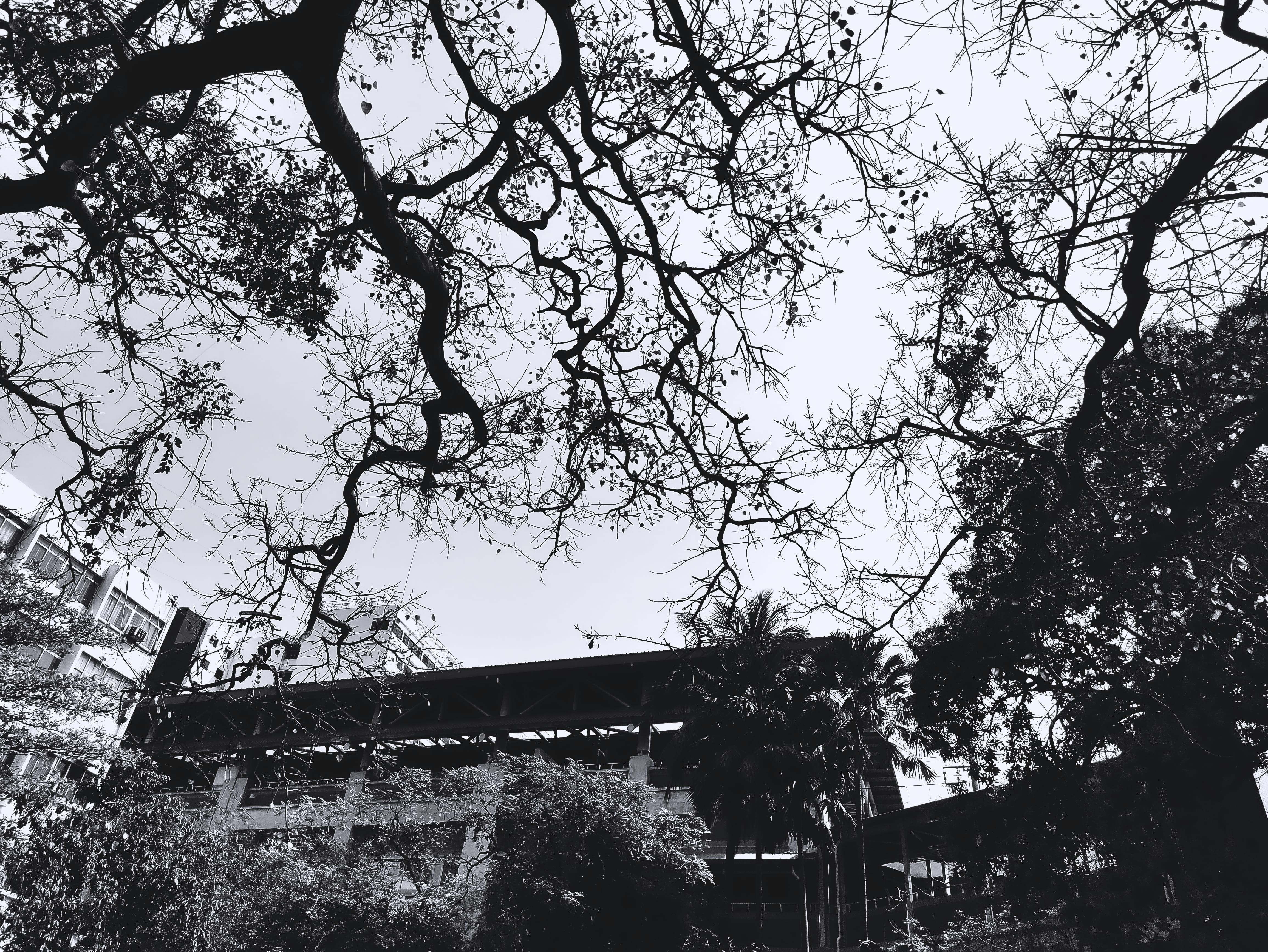 Photo by theartisticamit