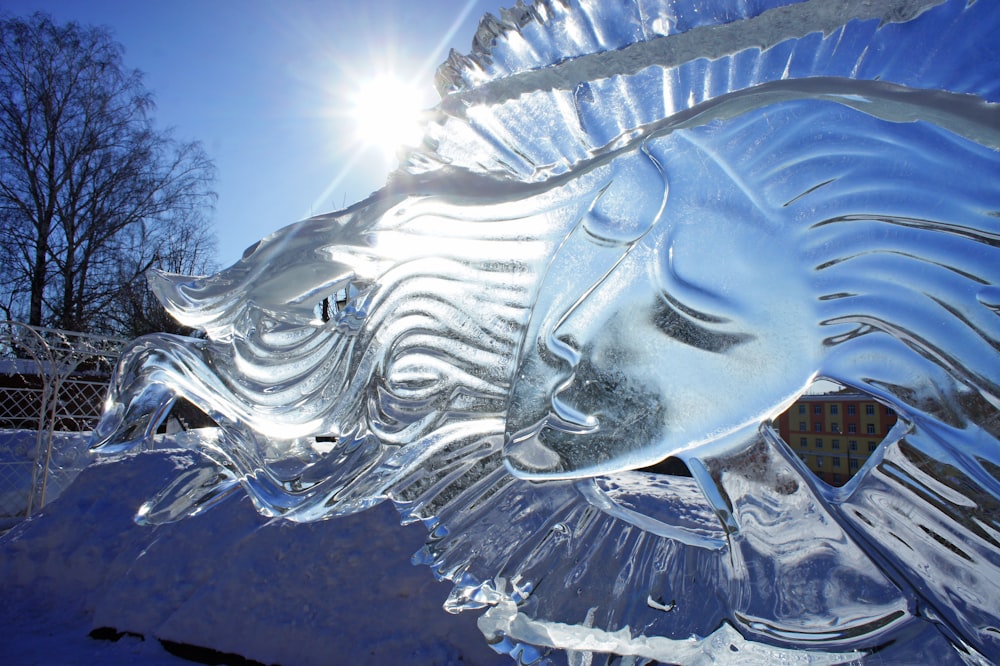 a sculpture of a fish made of ice