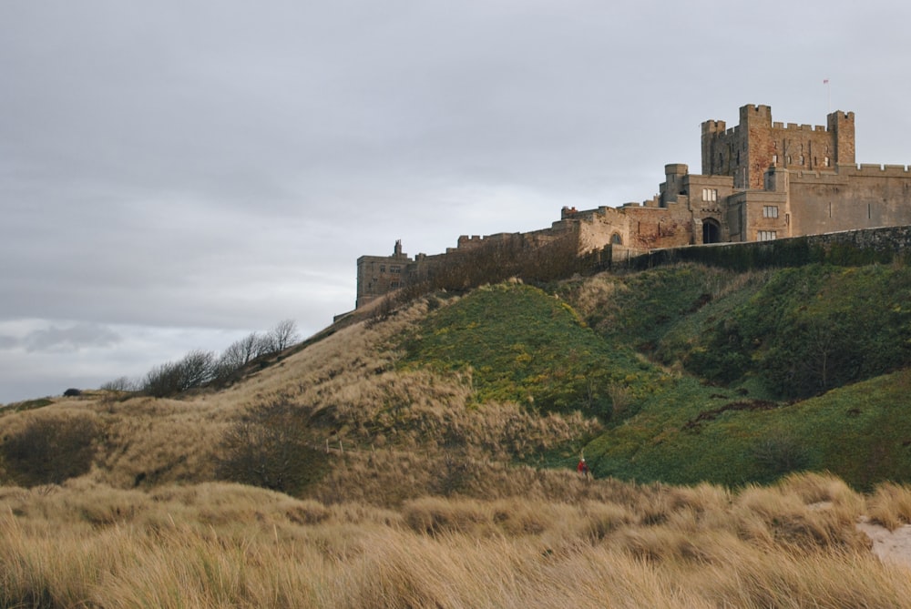 a castle on top of a hill with tall grass