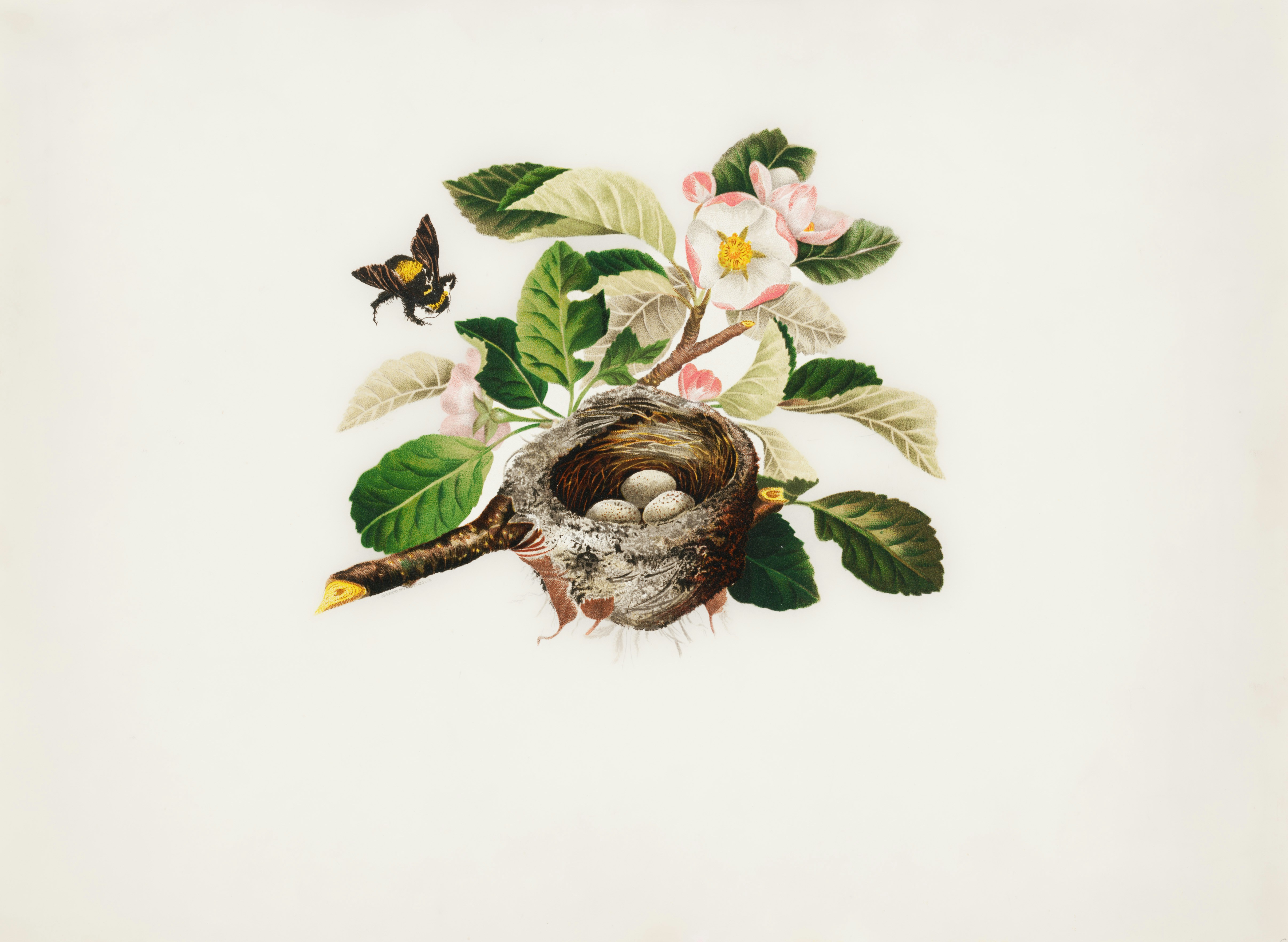 UEFI BIOS Updater BIOS