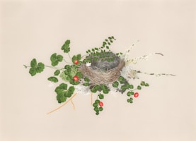 나고야의정서 최근 접근 동향