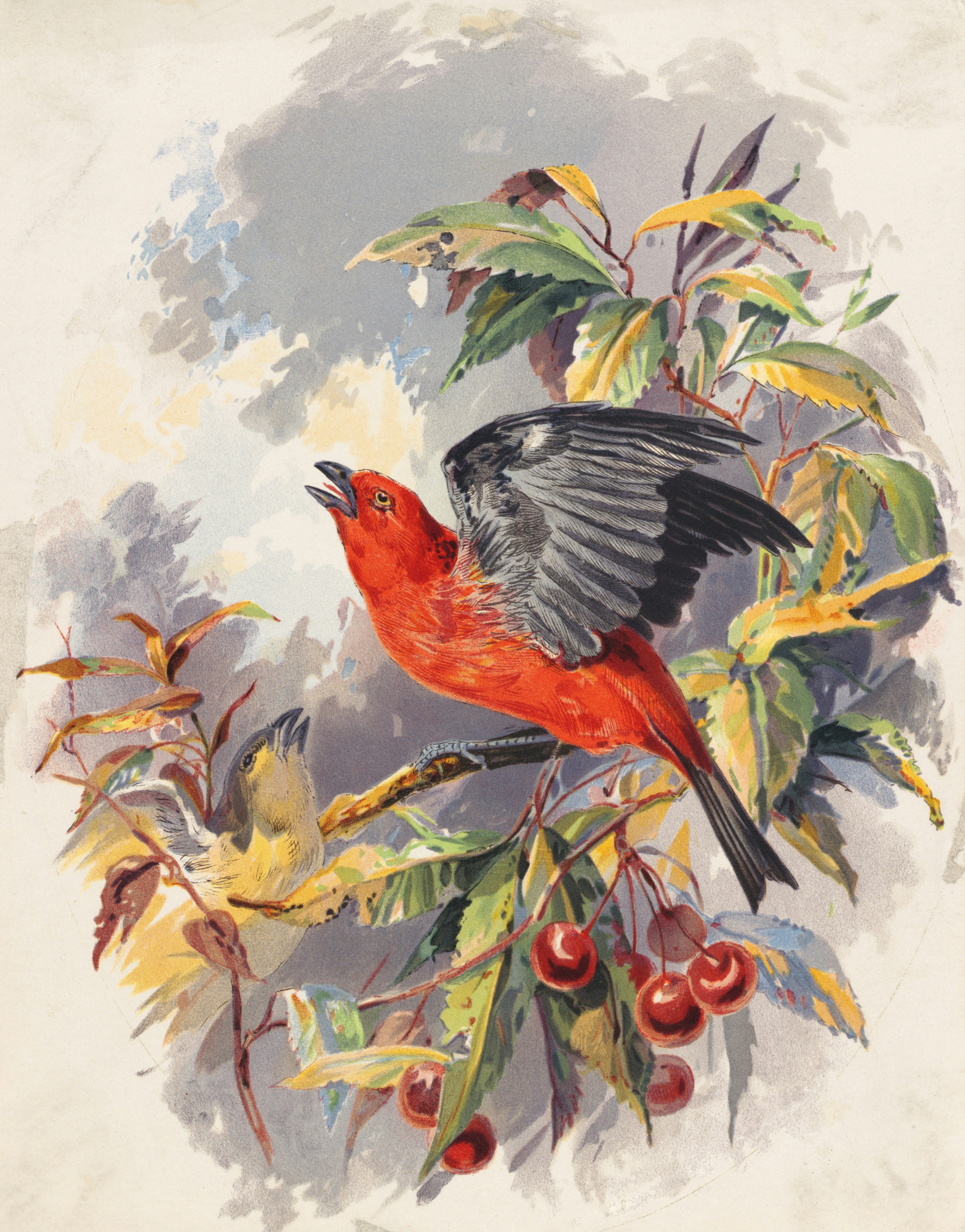 Photo by bostonpubliclibrary