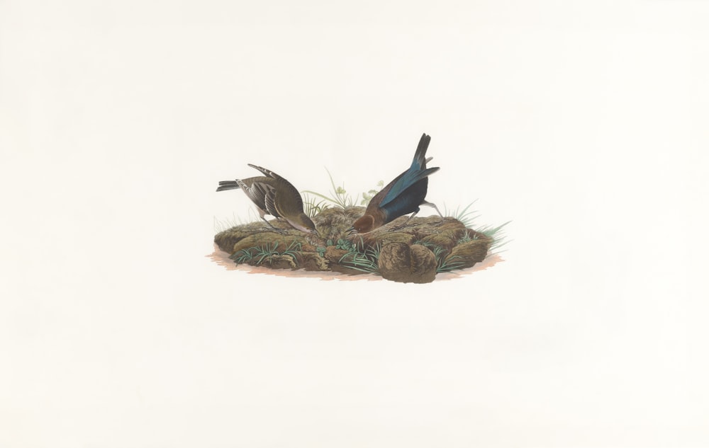 a drawing of three birds sitting on top of a nest