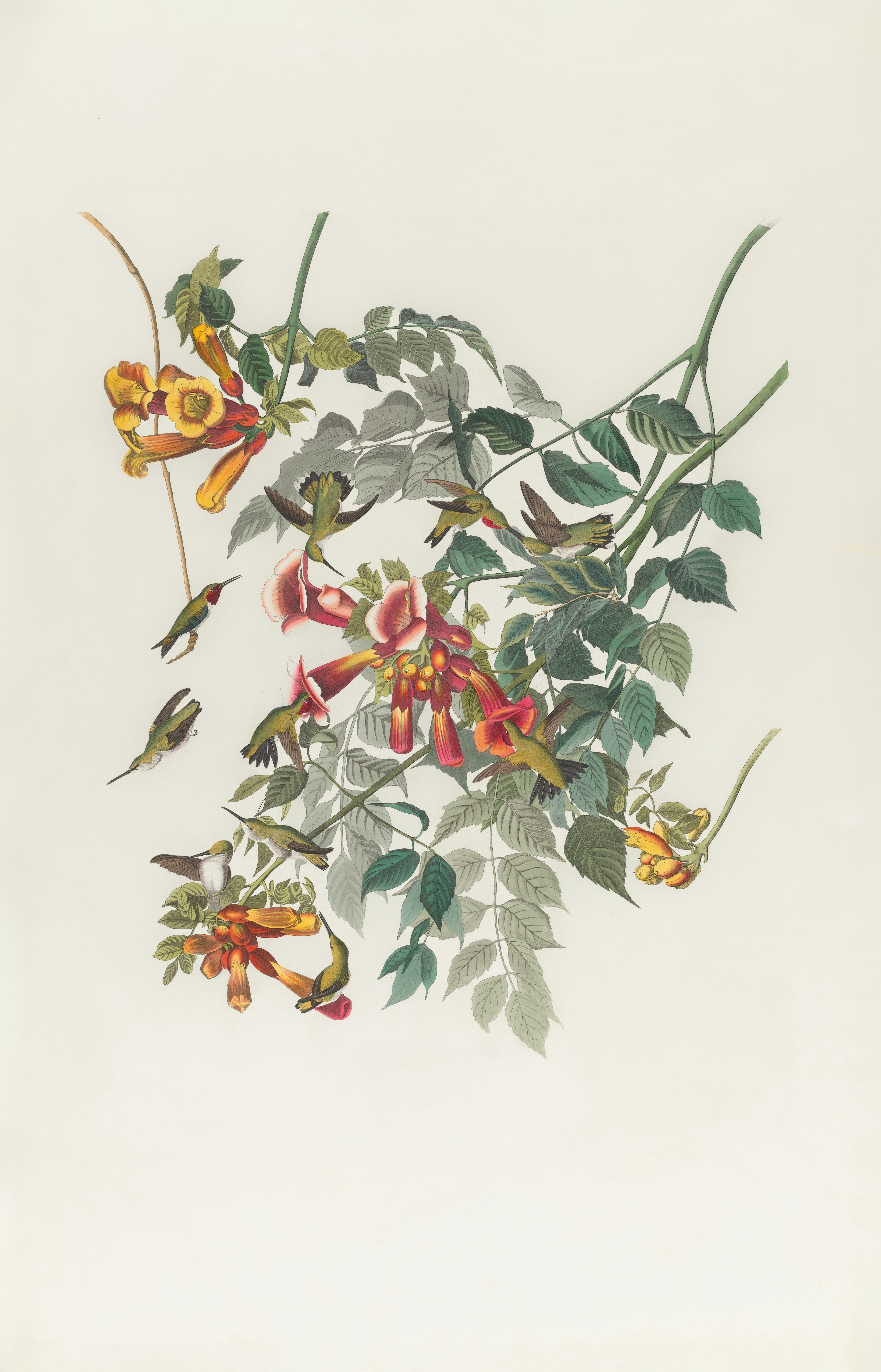 Photo by bostonpubliclibrary