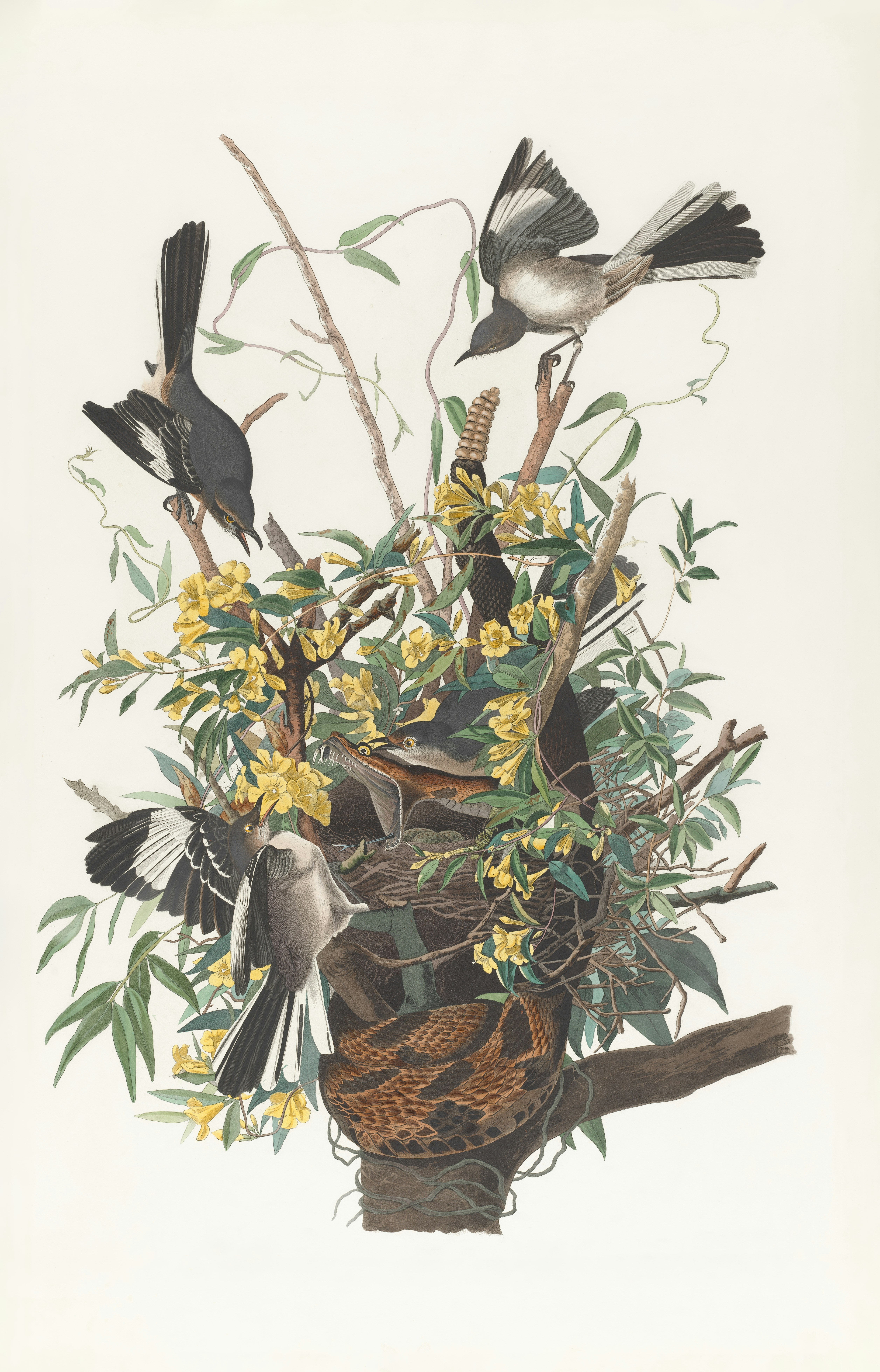 Photo by bostonpubliclibrary