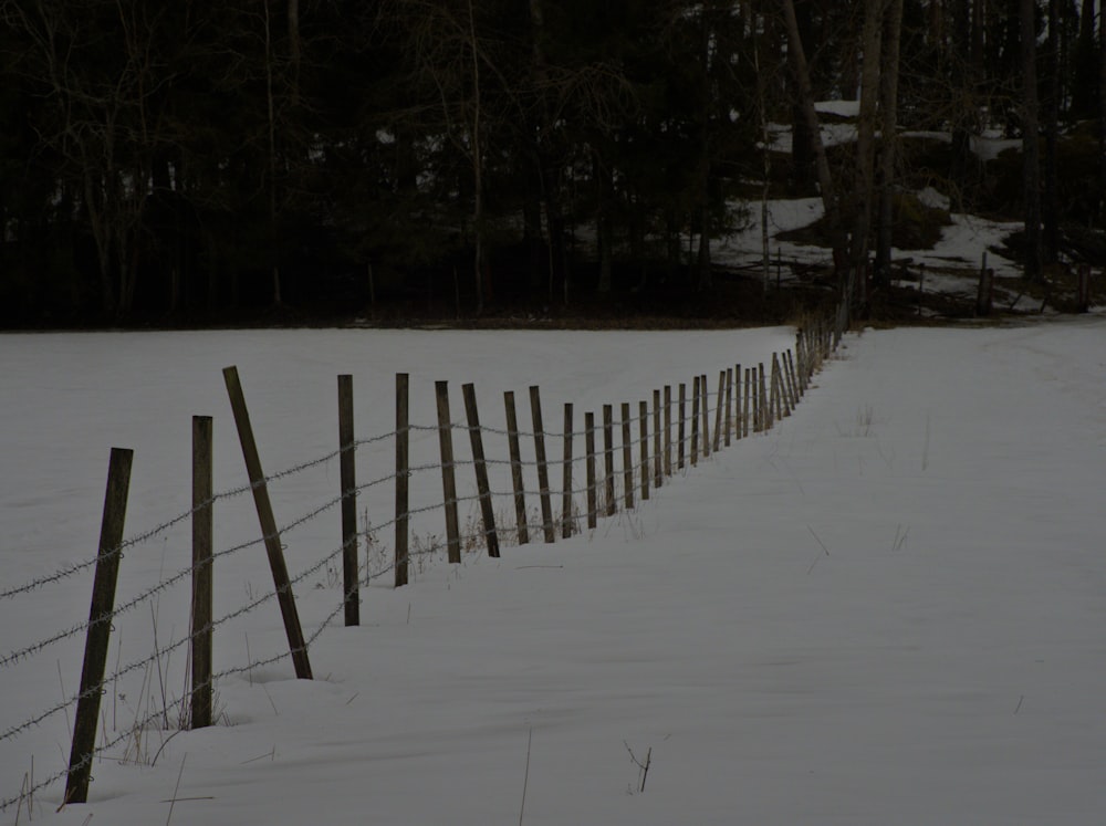 a row of wooden fences in the snow