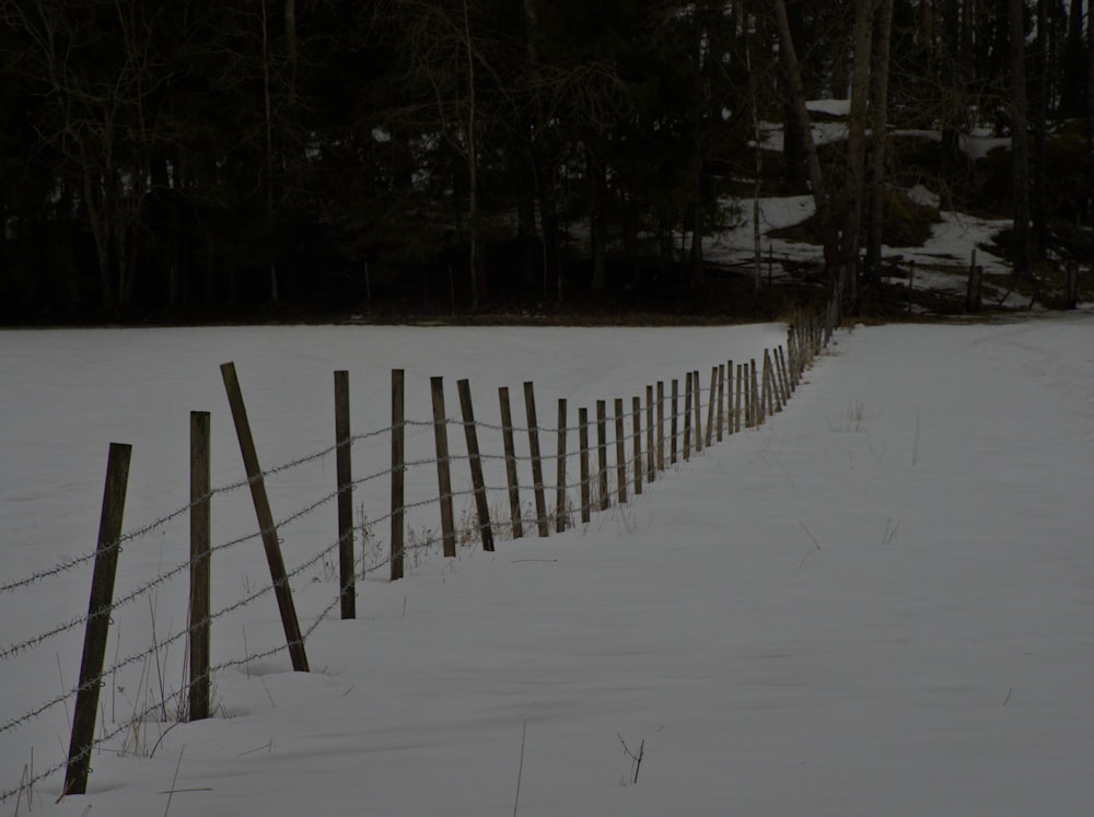 una fila di staccionate di legno nella neve