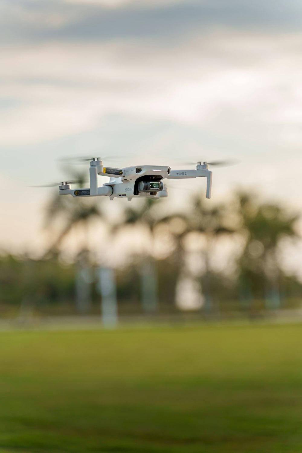 a small white flying over a lush green field