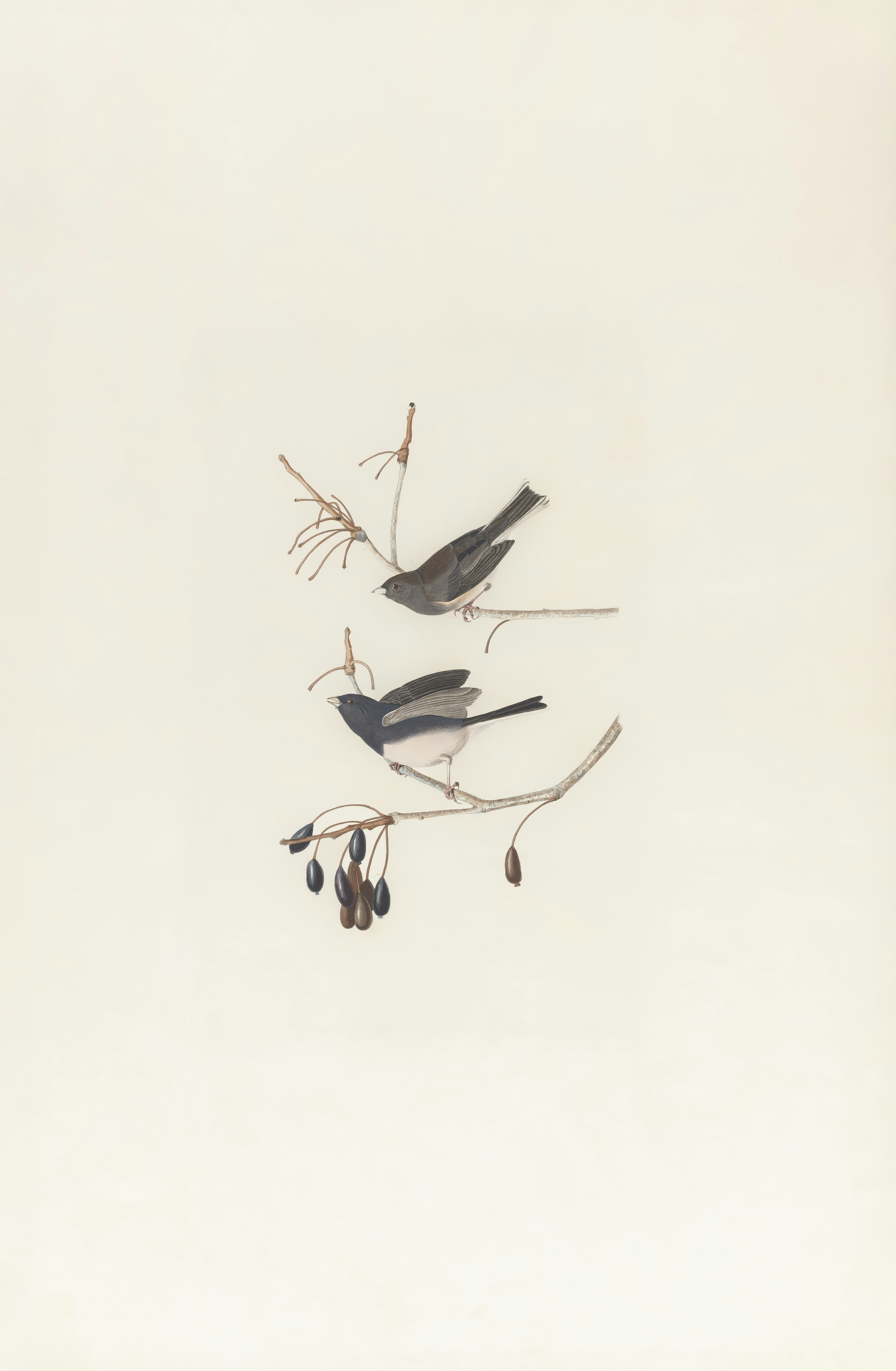 Photo by bostonpubliclibrary