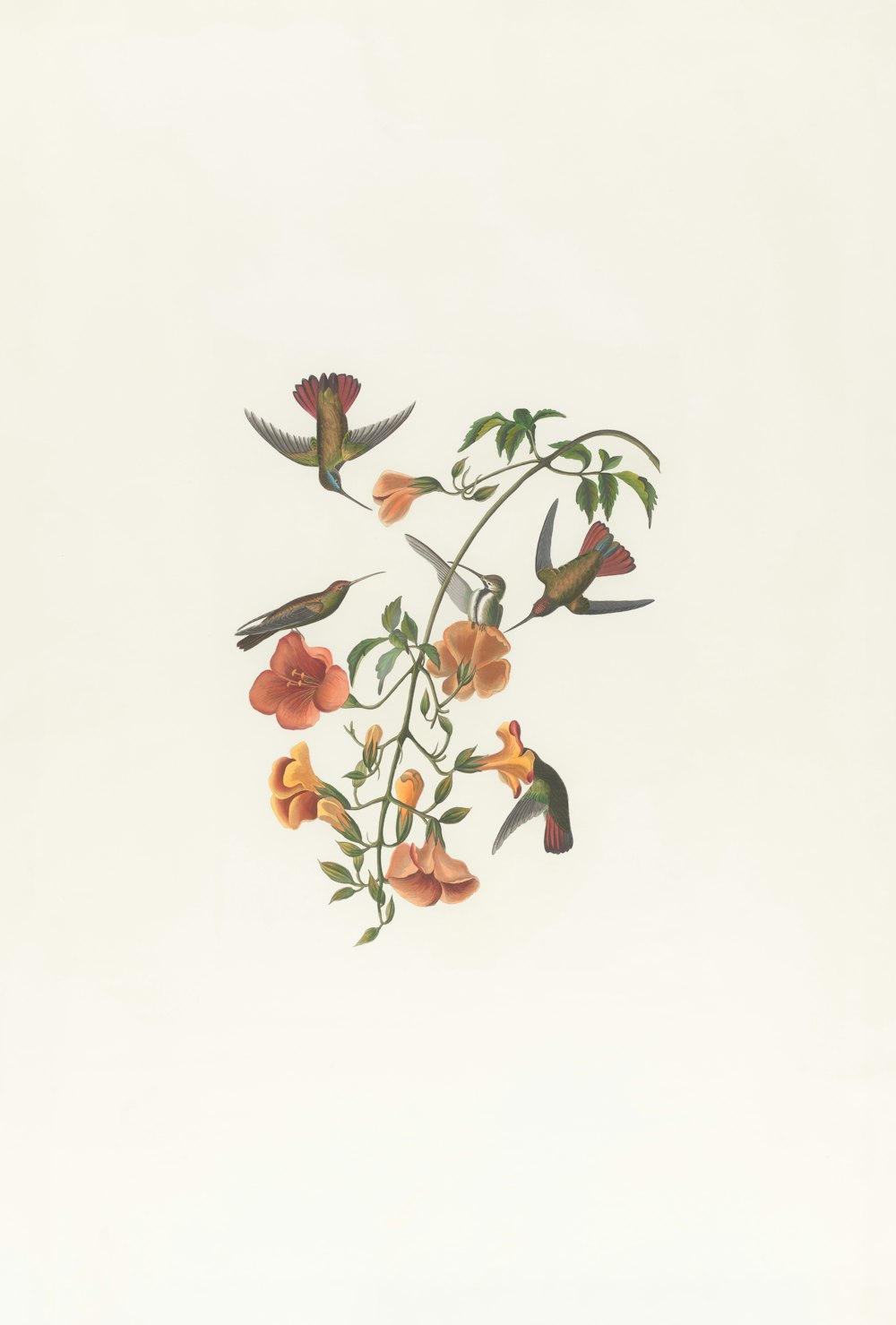 a painting of a hummingbird on a branch with orange flowers