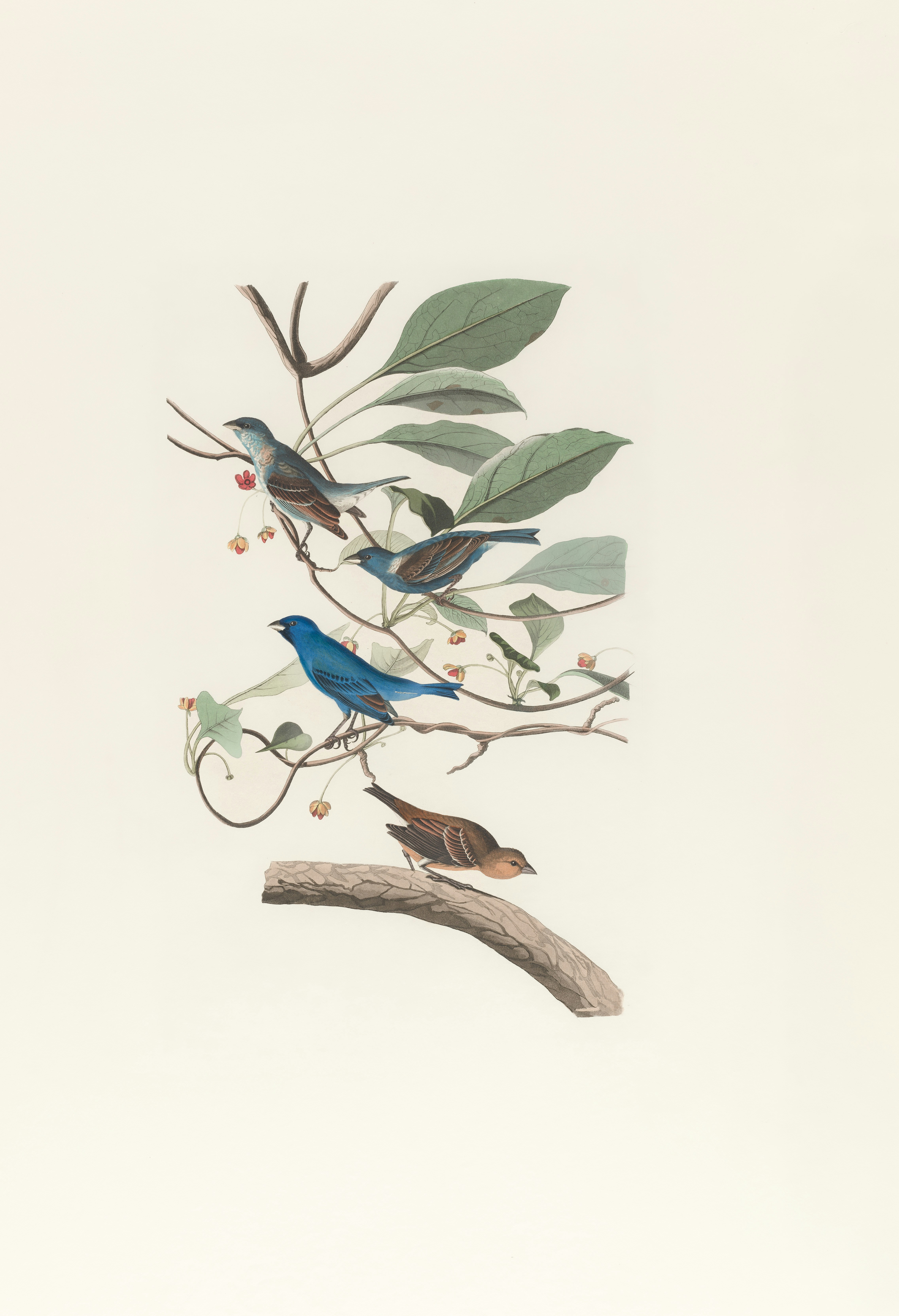 Photo by bostonpubliclibrary