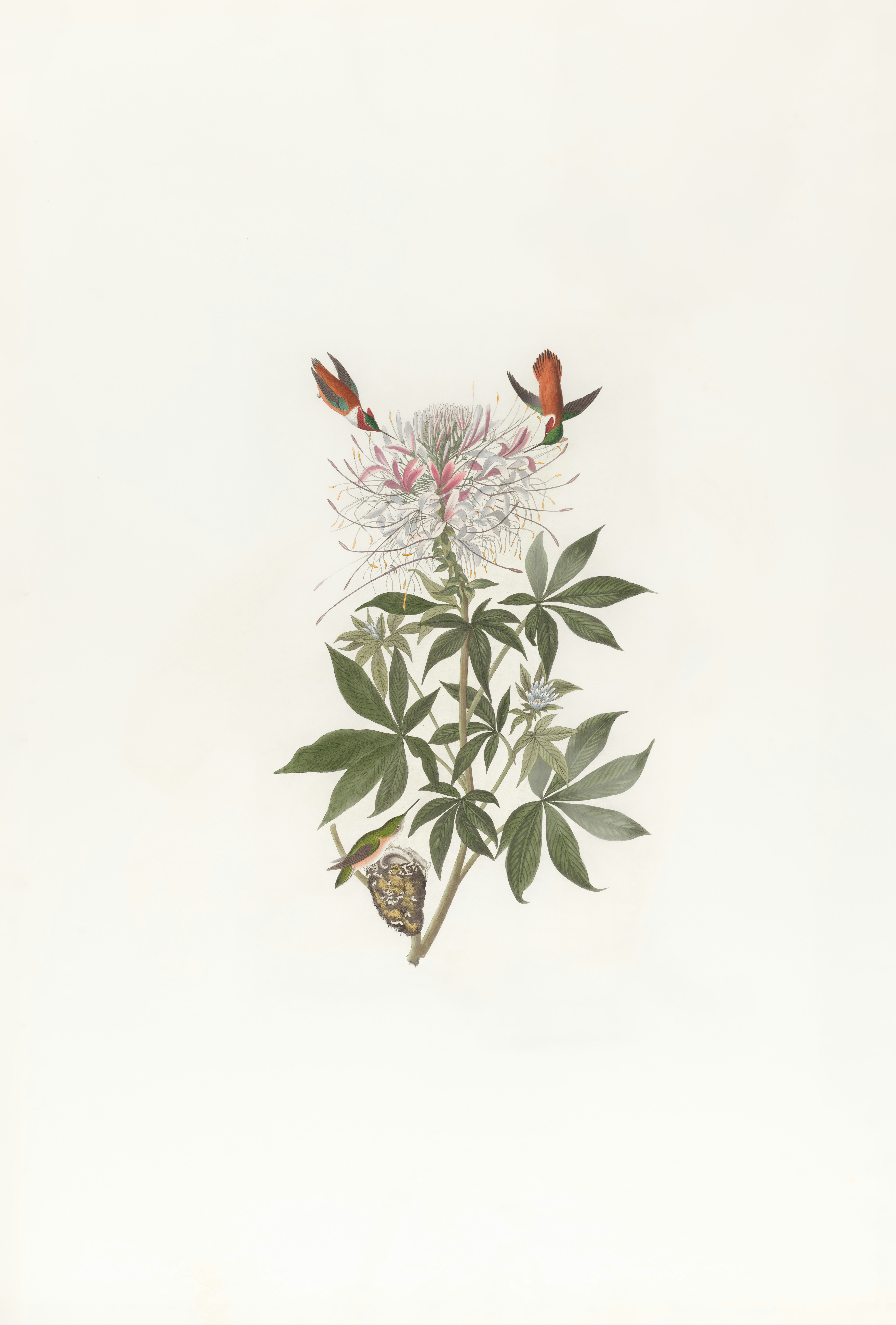 Photo by bostonpubliclibrary