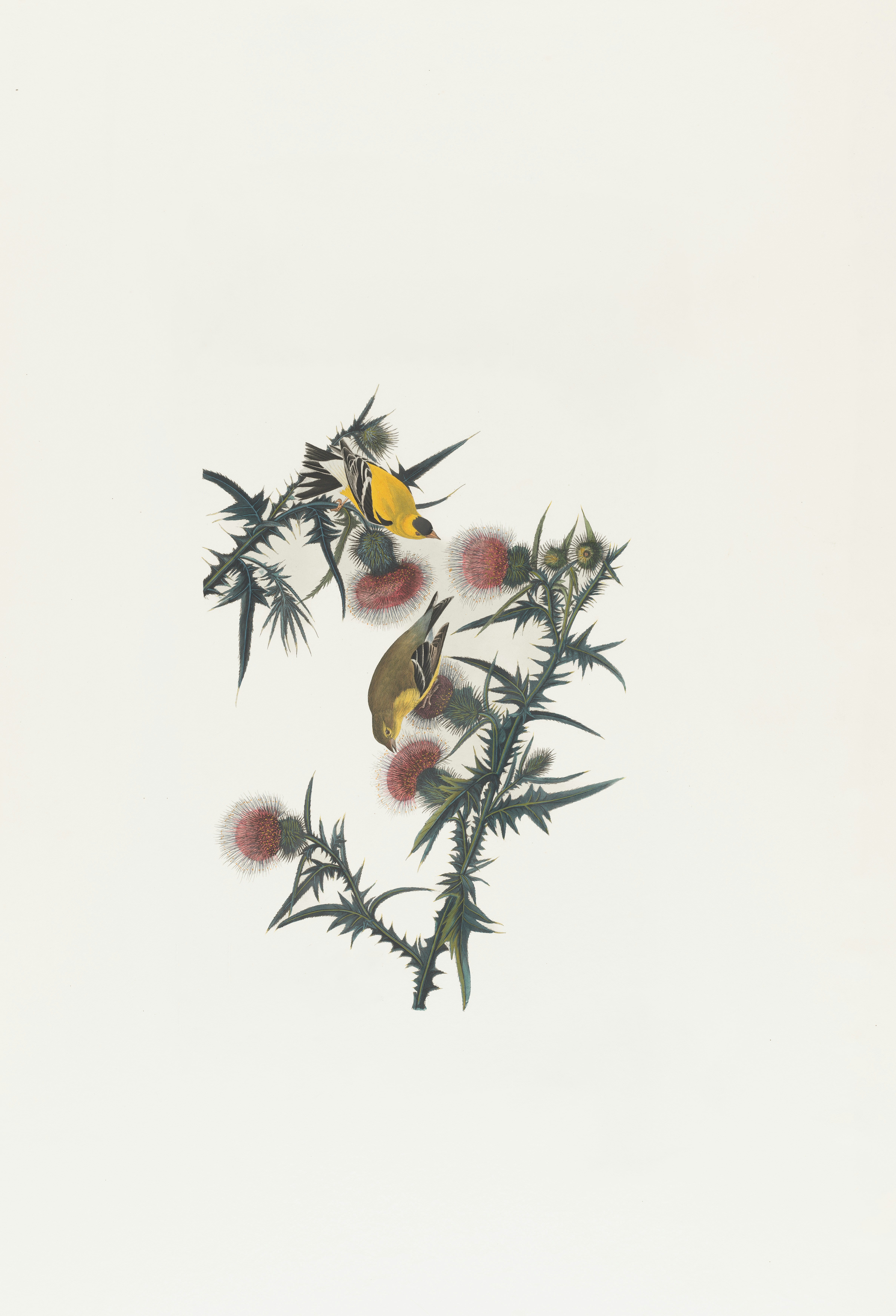 Photo by bostonpubliclibrary