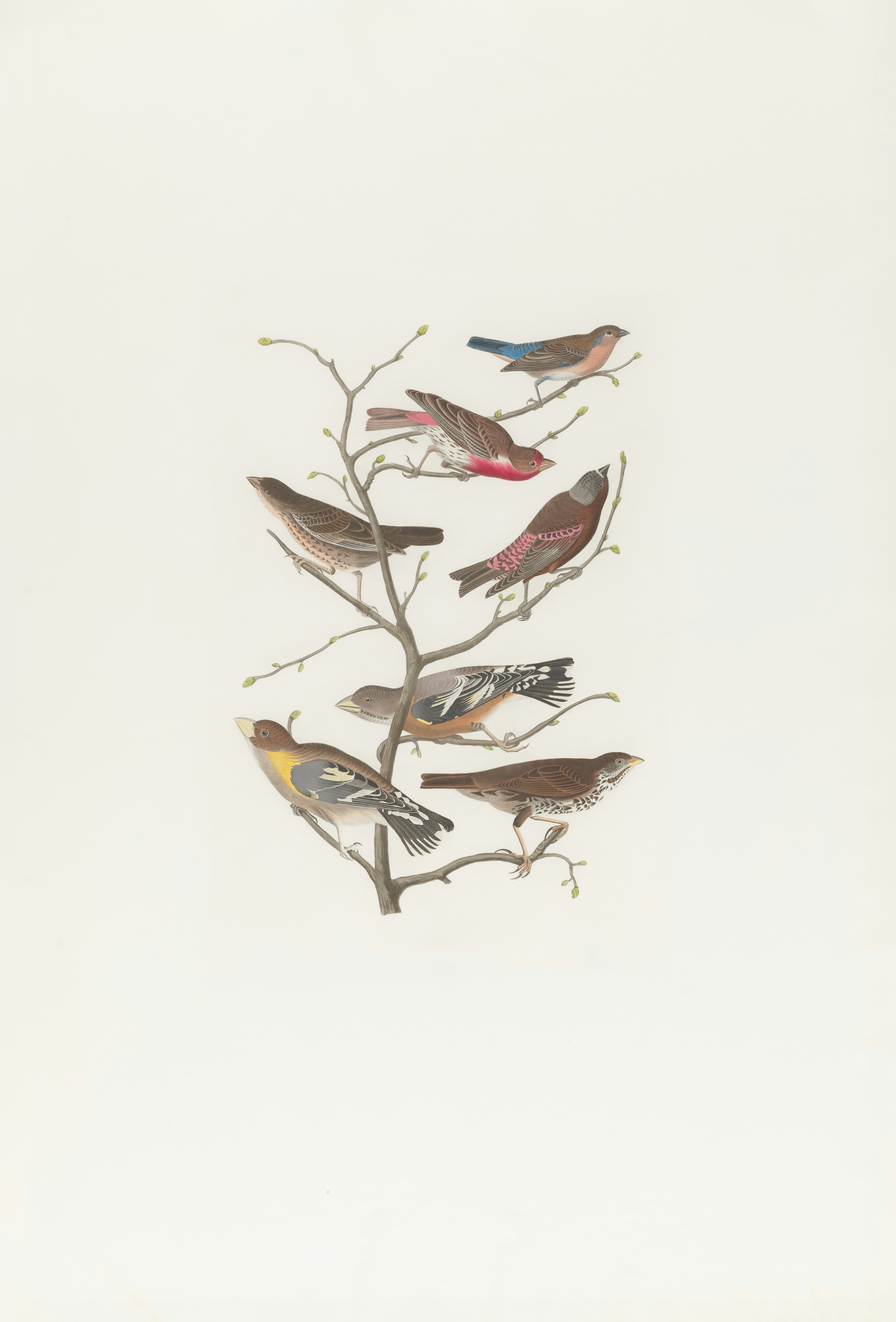 Photo by bostonpubliclibrary