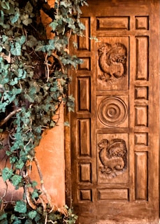 a close up of a door with vines growing on it
