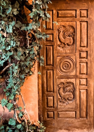 a close up of a door with vines growing on it