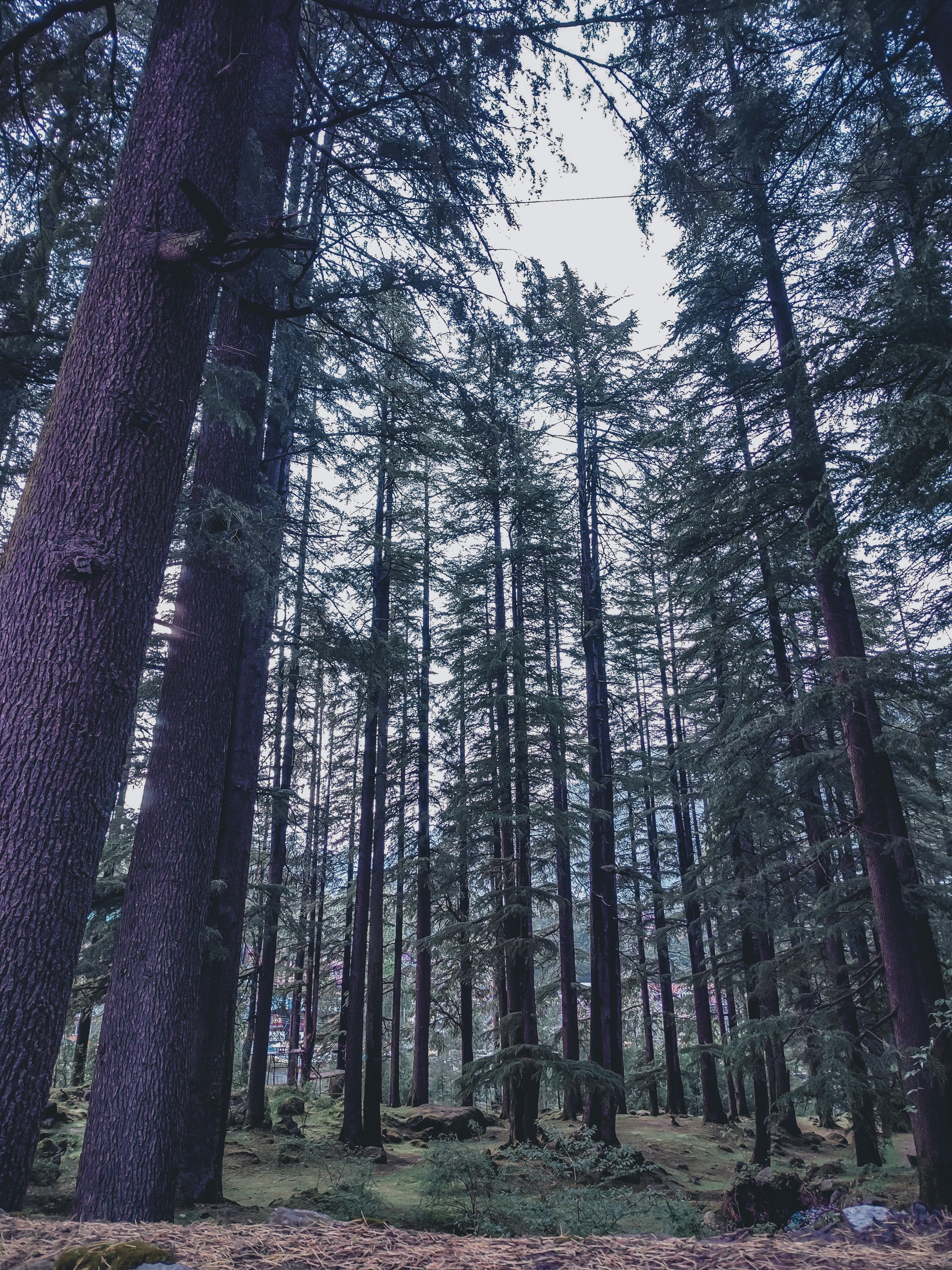 Photo by parthasarathi8881