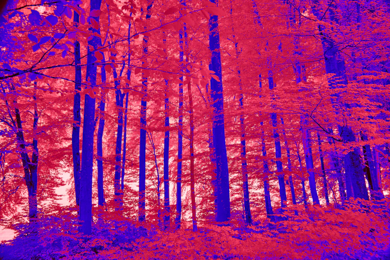 Infrared Thermography Inspection