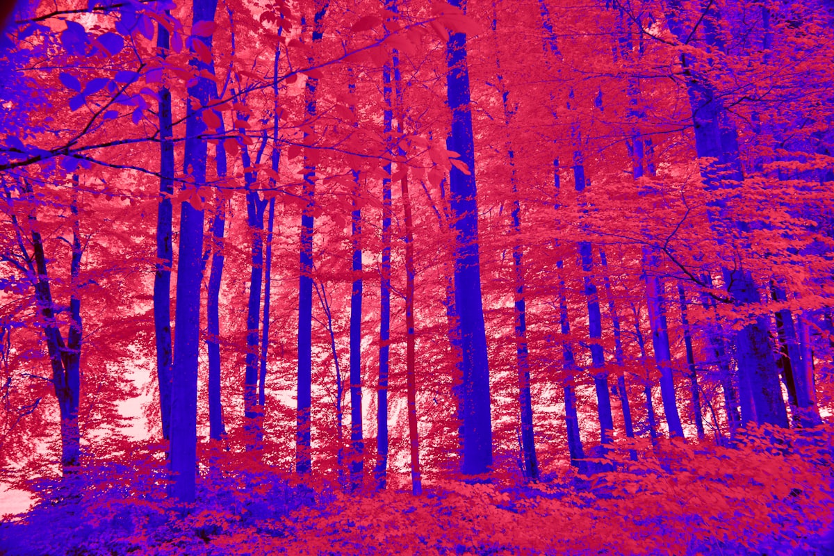 Thermal infrared imaging showing heat signatures on a building