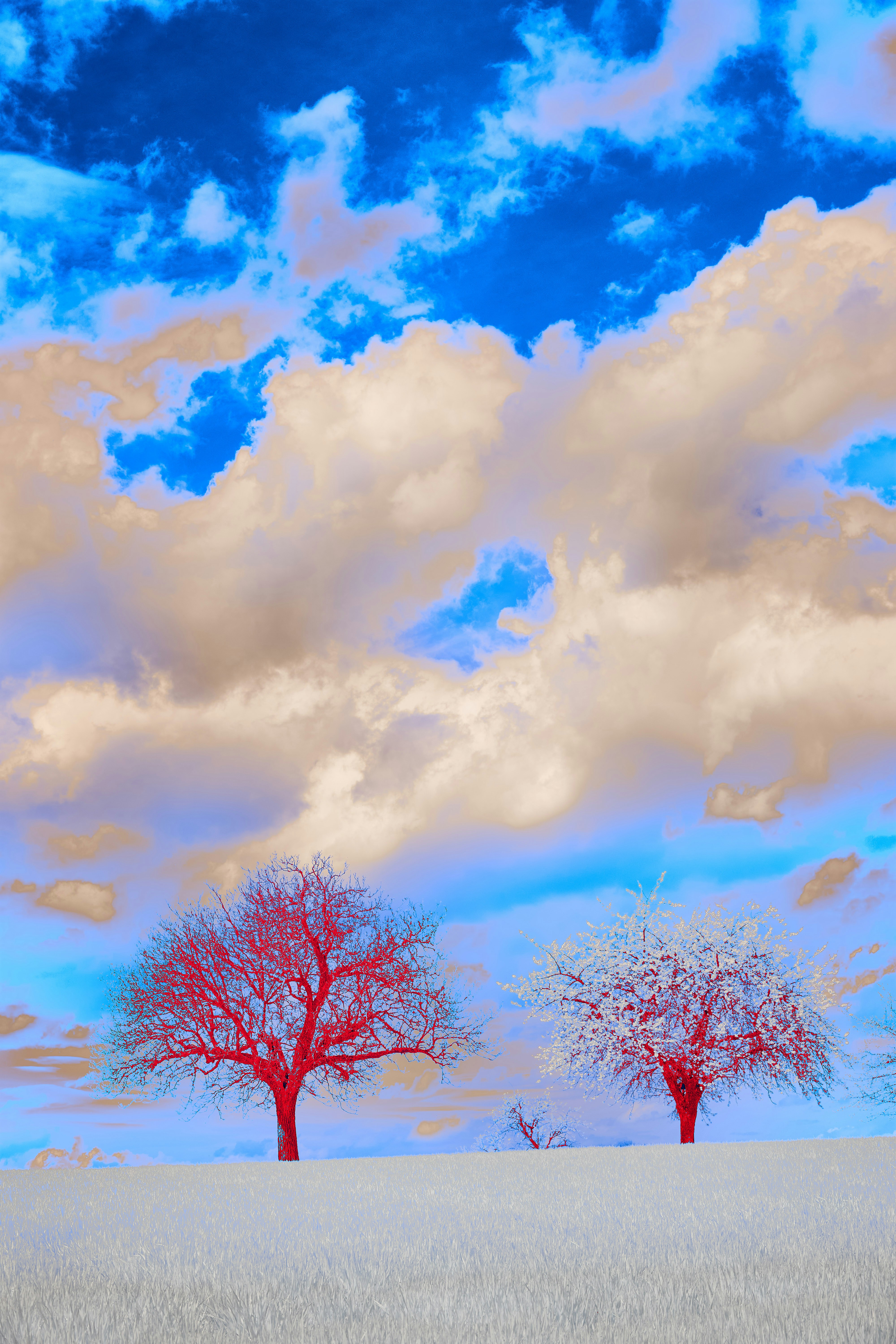 Photo by wolfgang_hasselmann