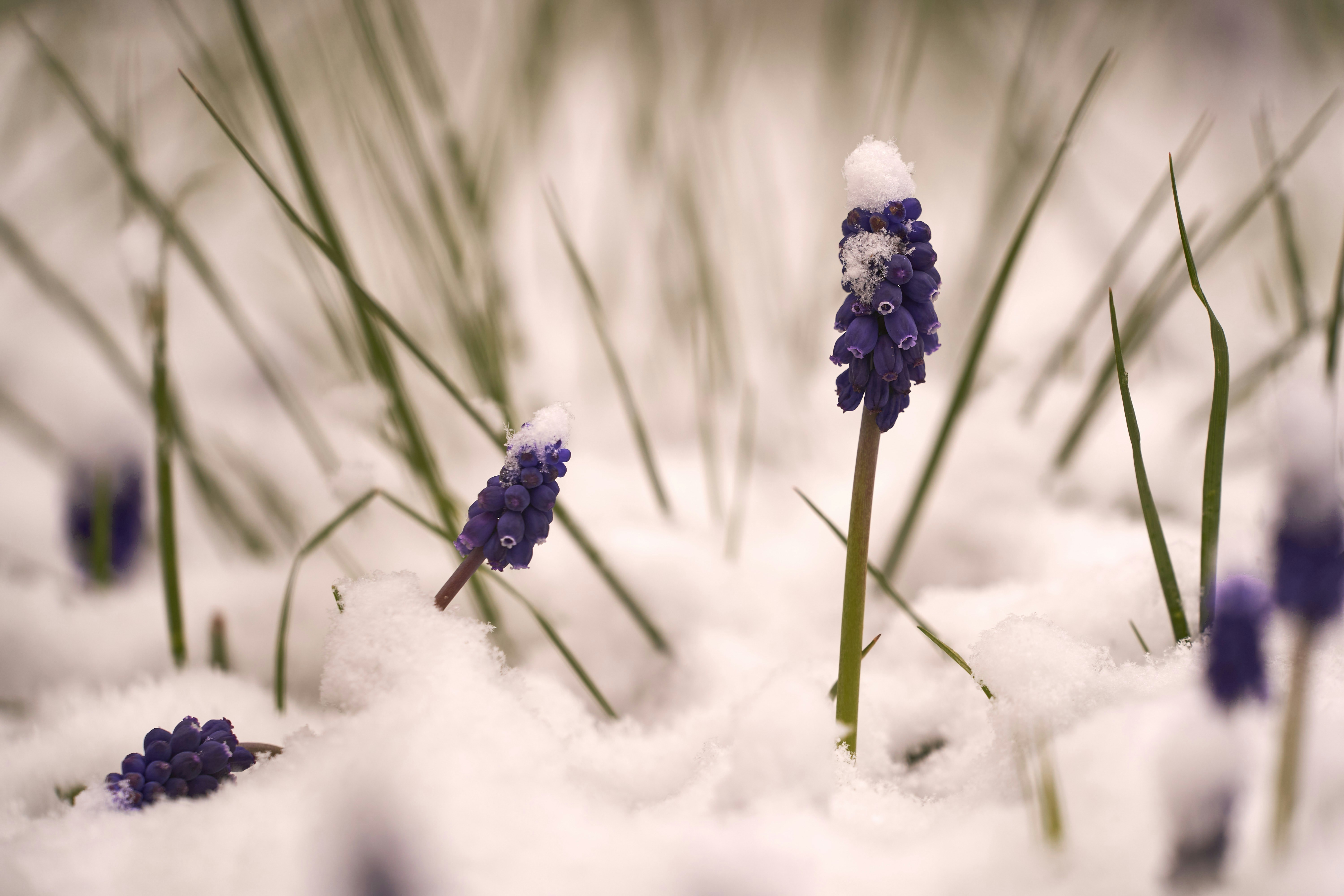 Photo by wolfgang_hasselmann