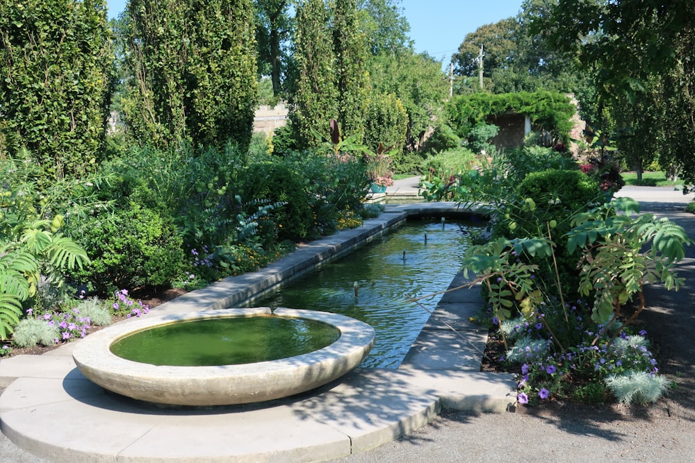 a garden with a pond surrounded by trees