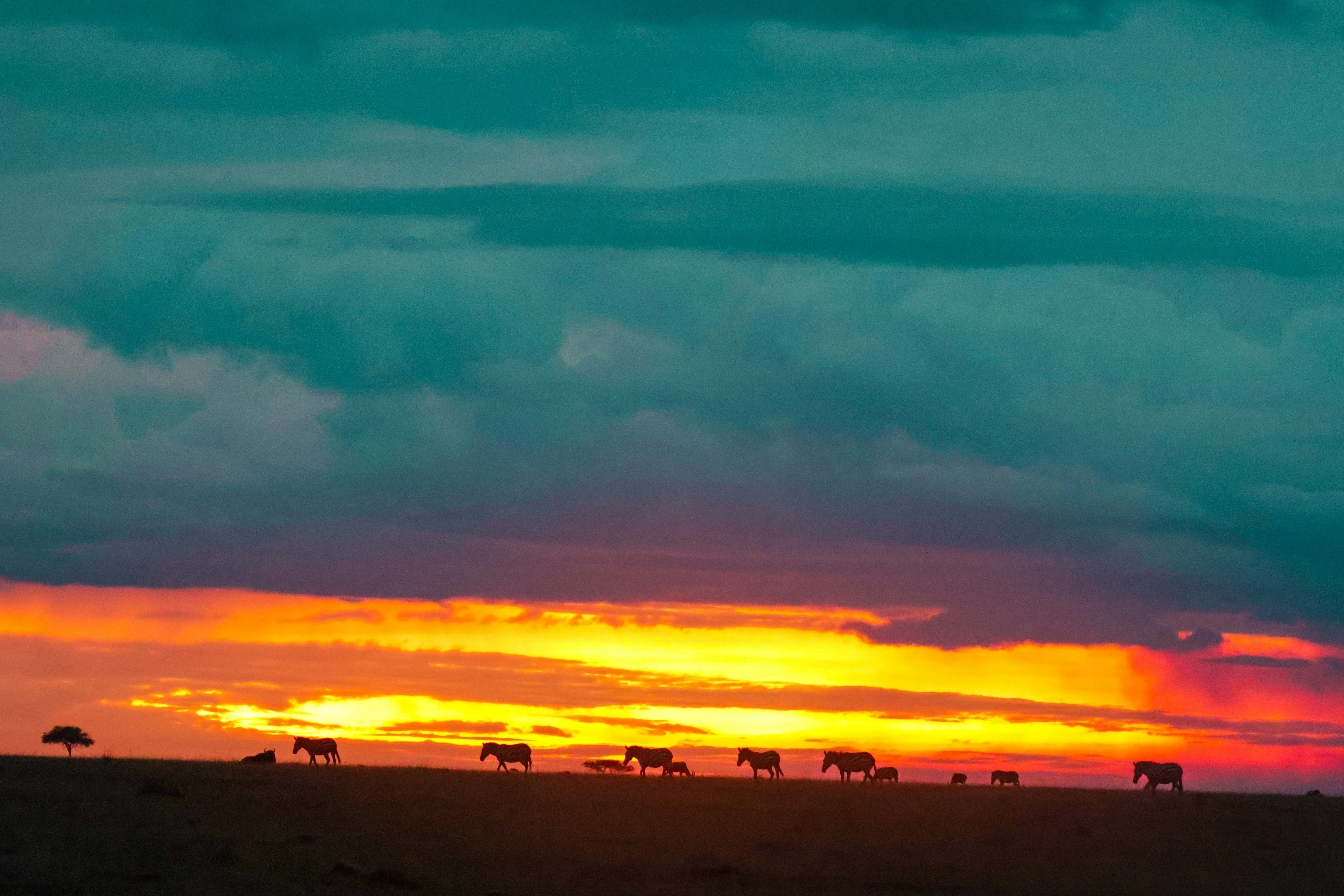 Photo by traveleroohlala