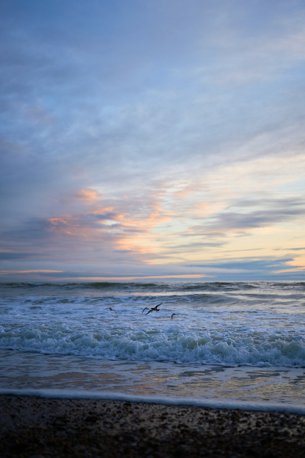 a couple of birds flying over a body of water