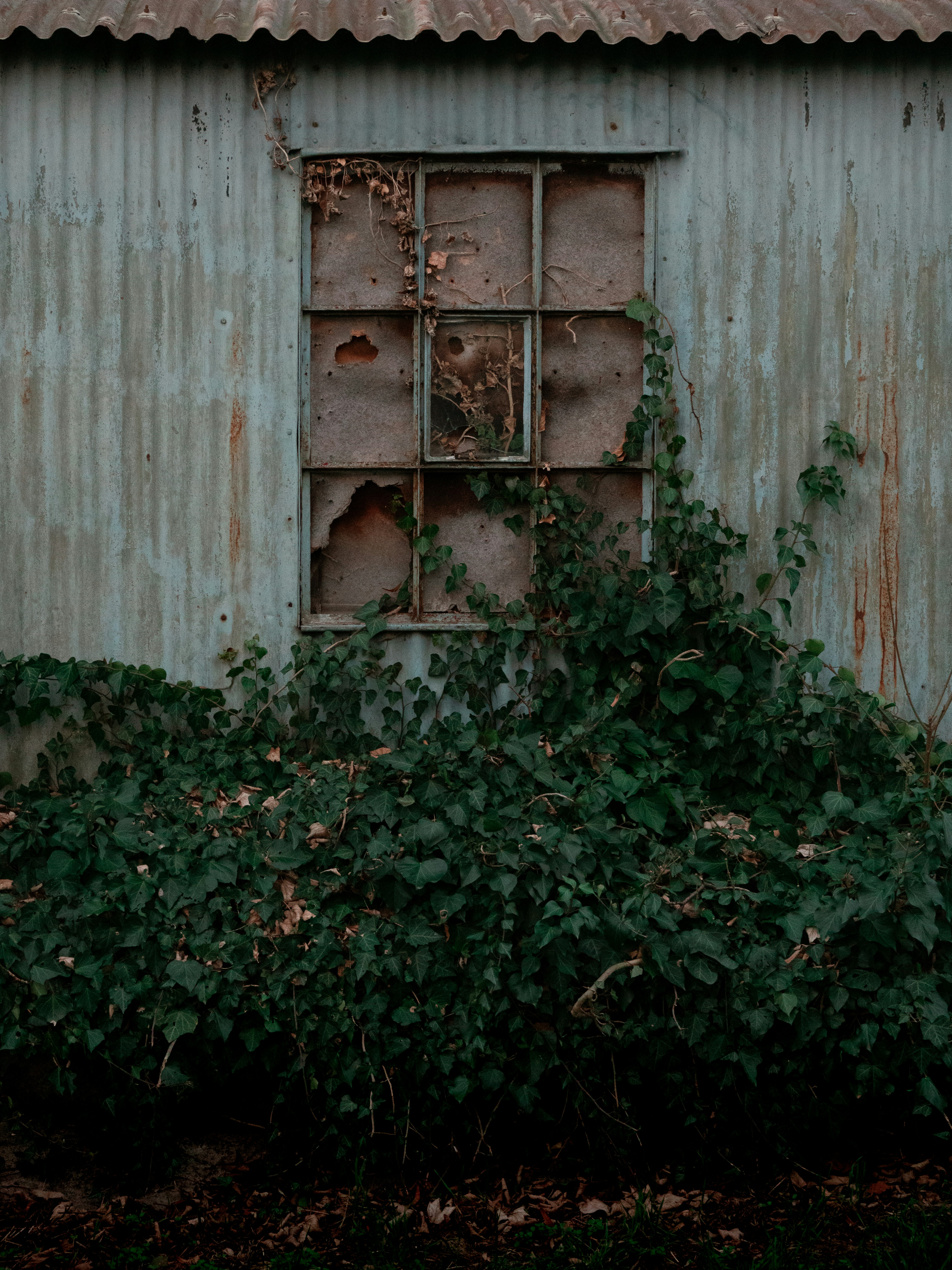 Photo by hyggesalpaka