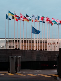 a bunch of flags that are in front of a building