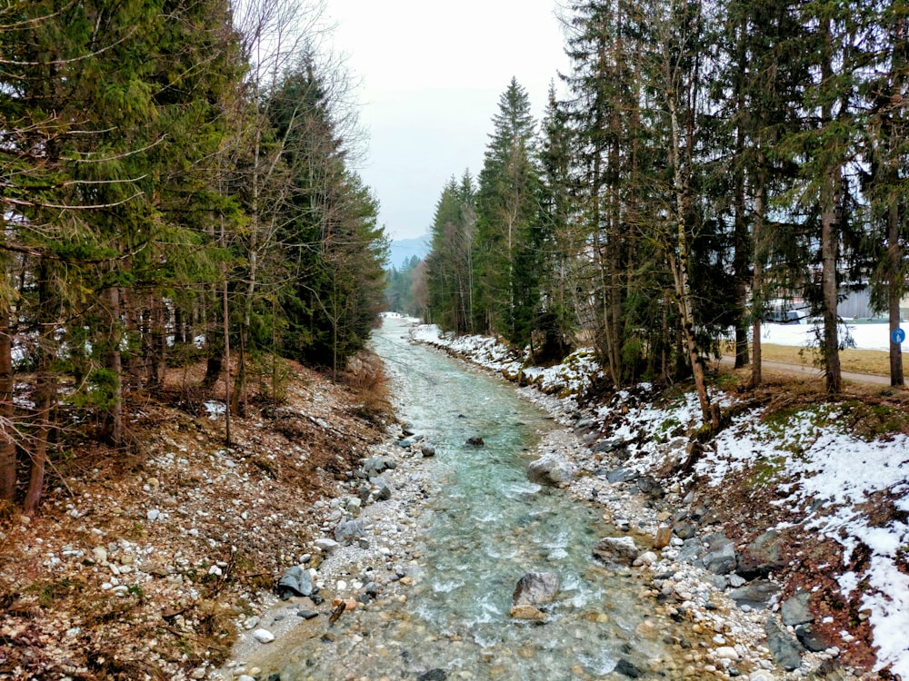 a stream running through a snow covered forest