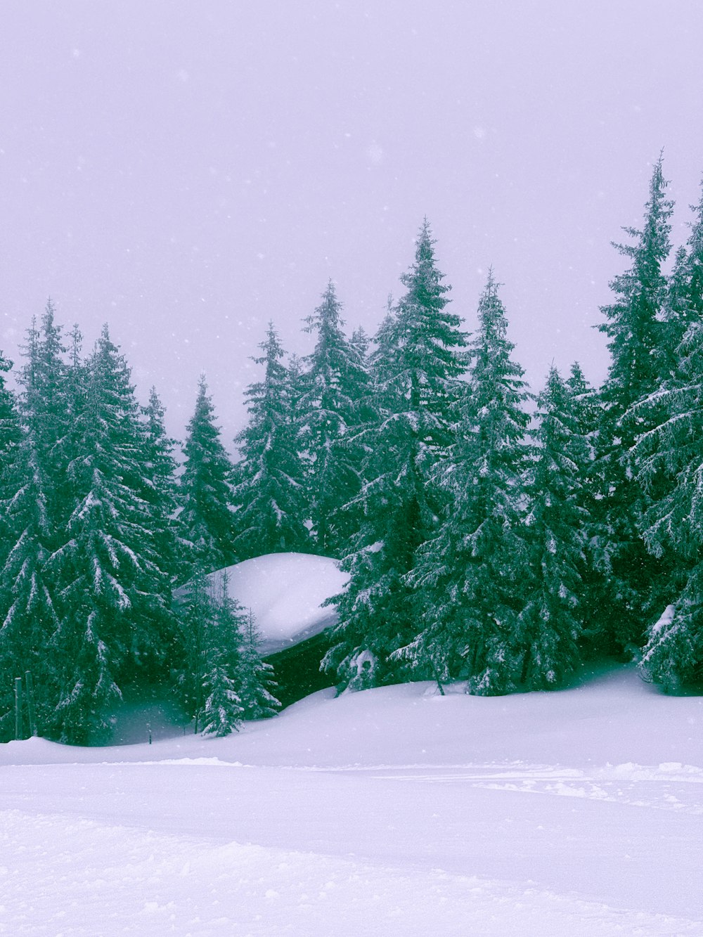 a snowboarder is going down a snowy hill