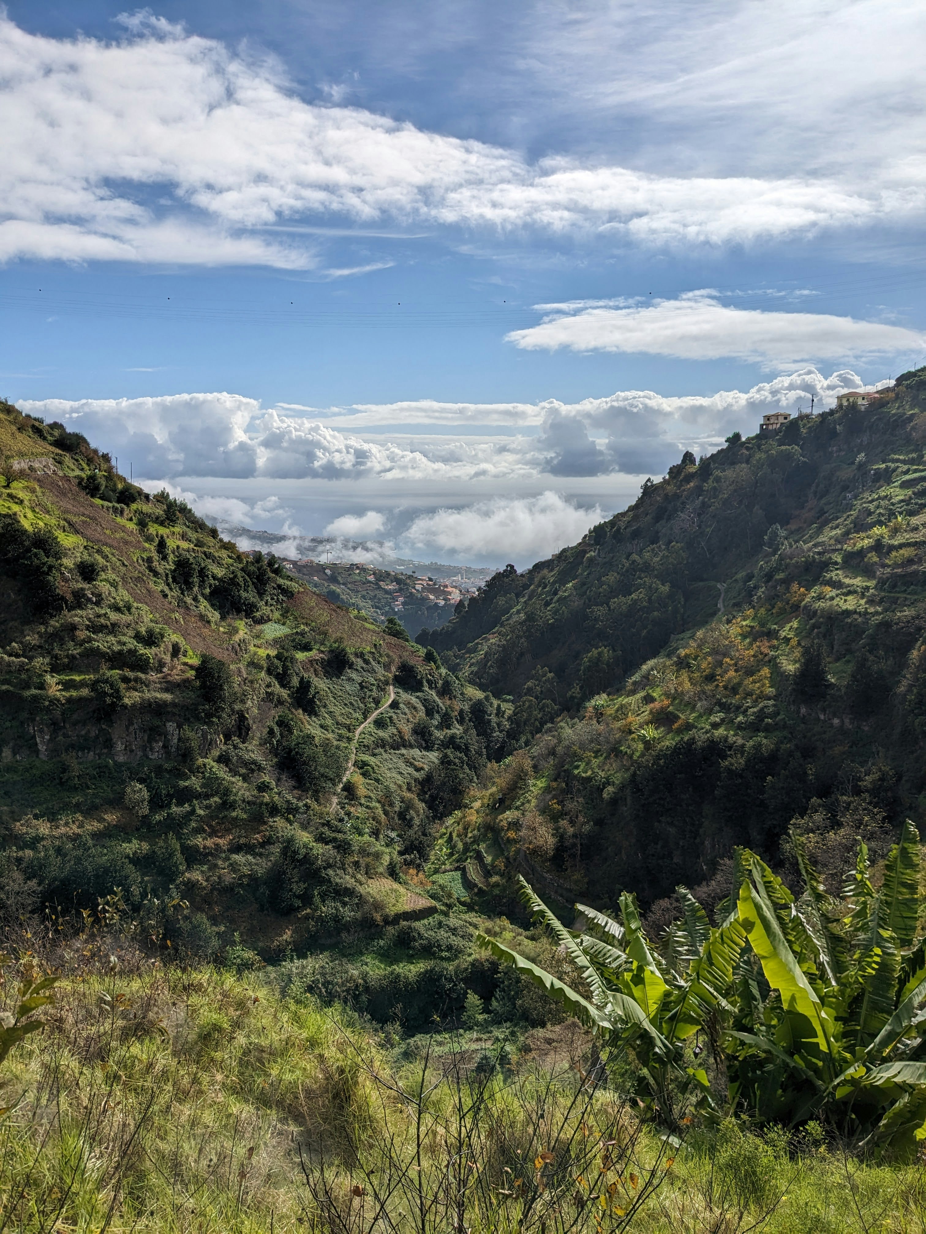 Photo by liana_lo_co