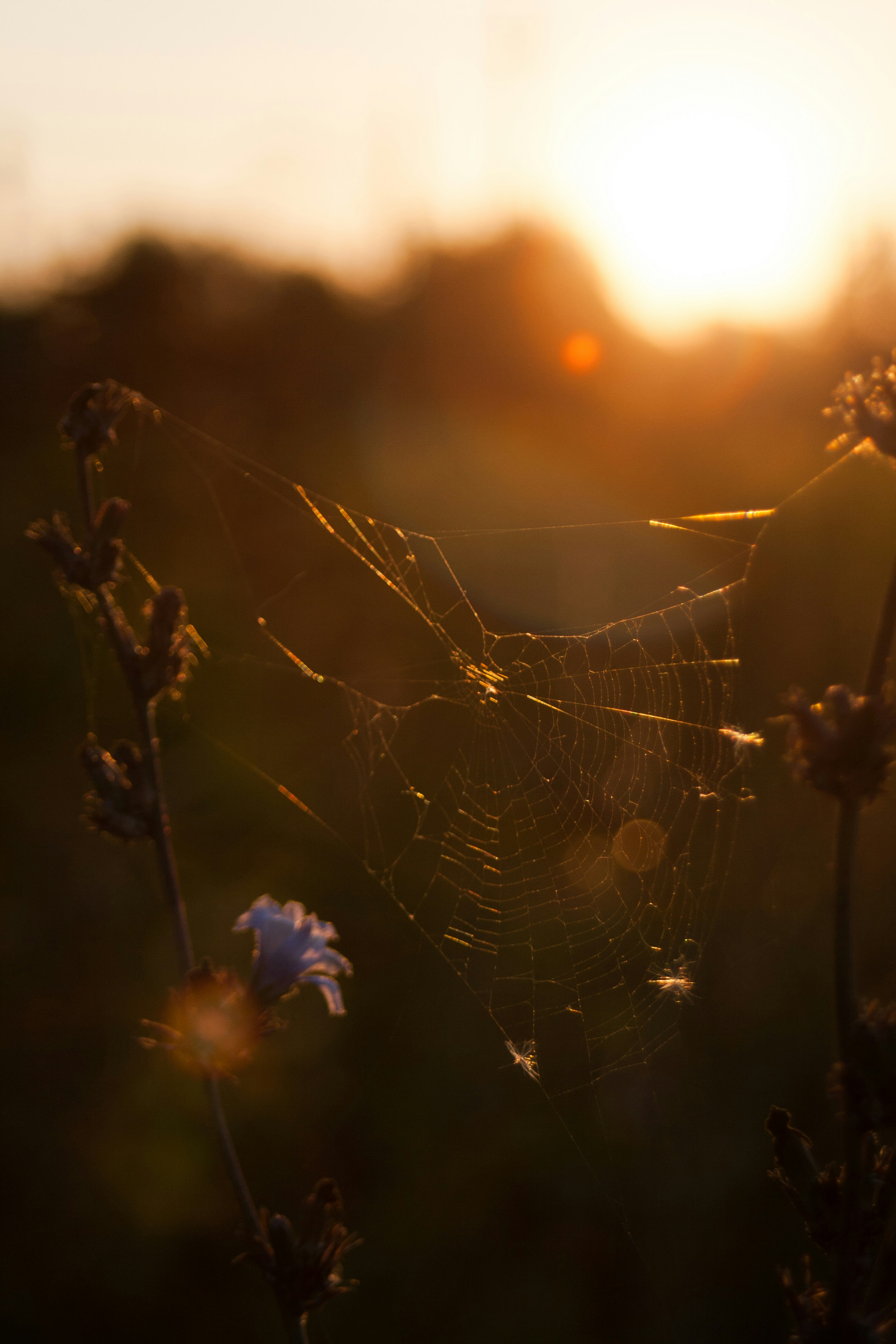 Photo by gloriaviktoriia