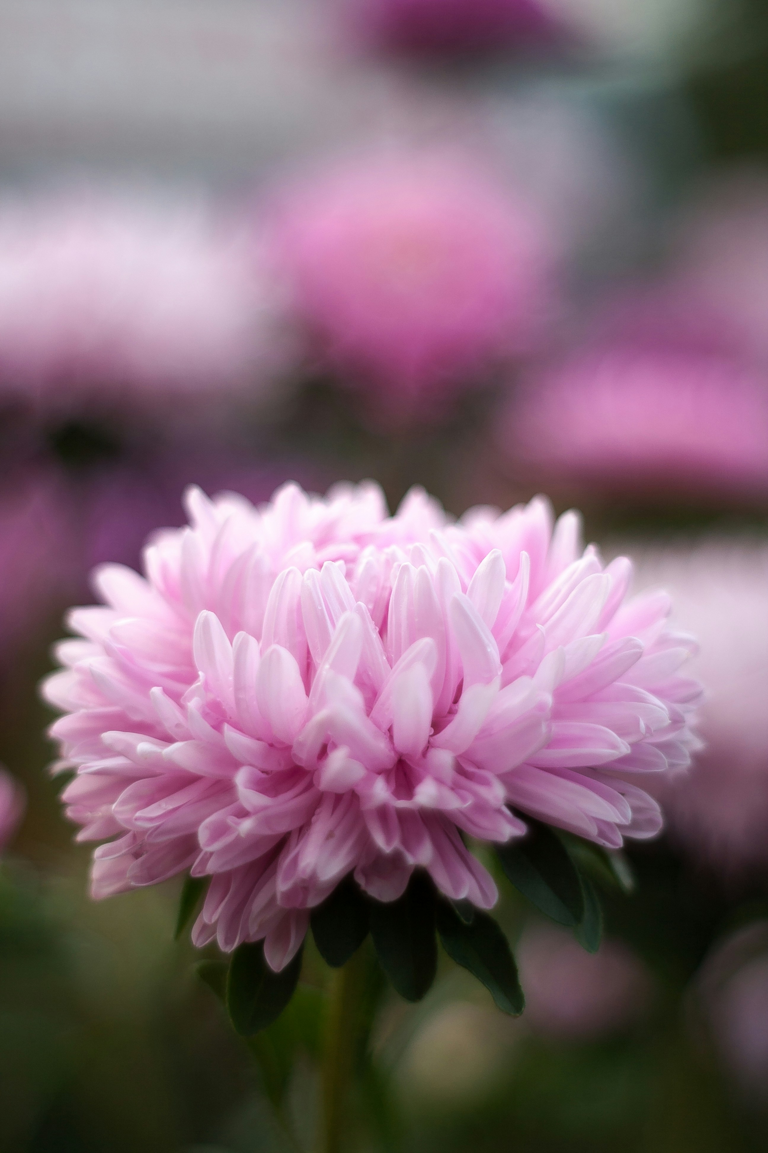 Photo by gloriaviktoriia