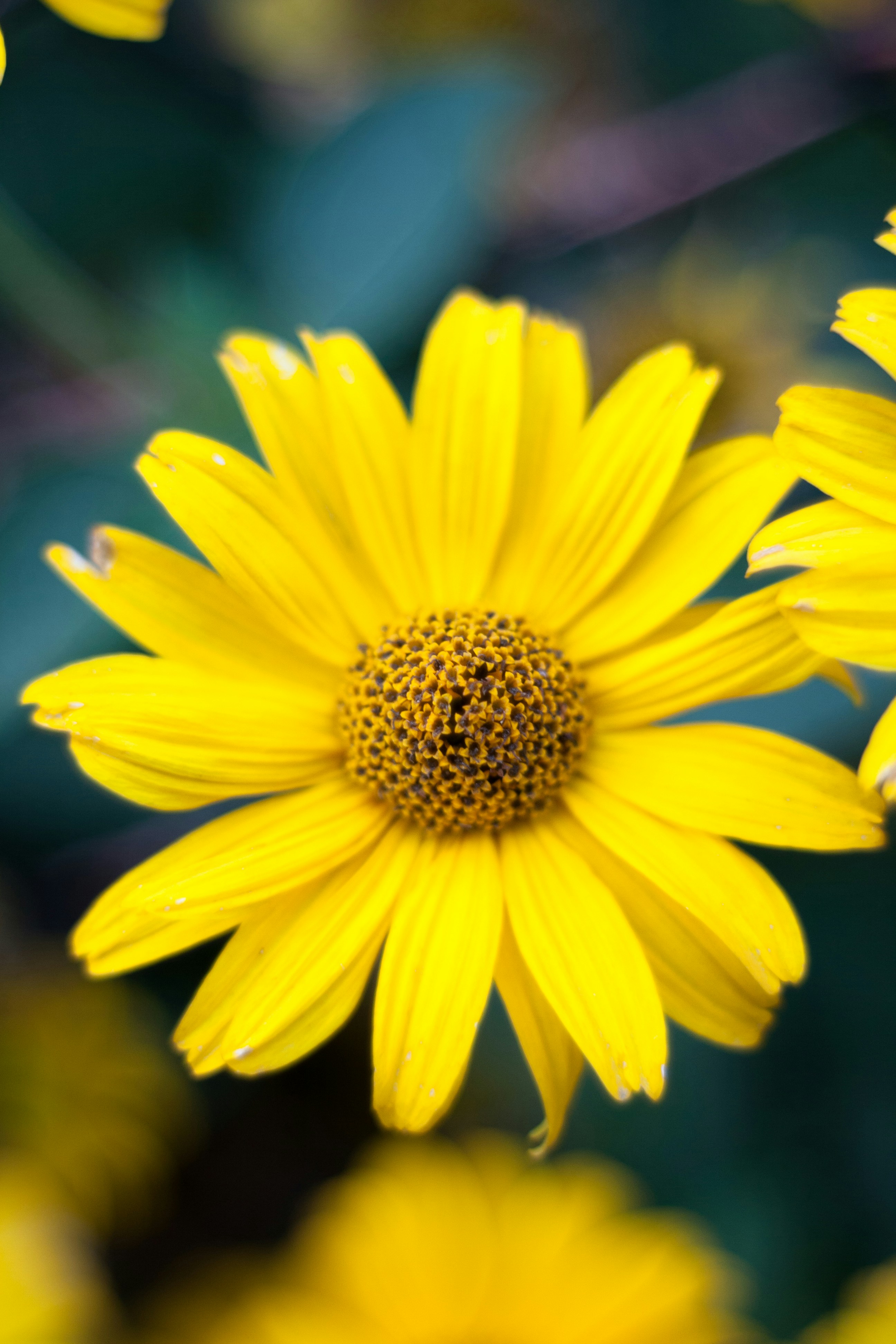 Photo by gloriaviktoriia