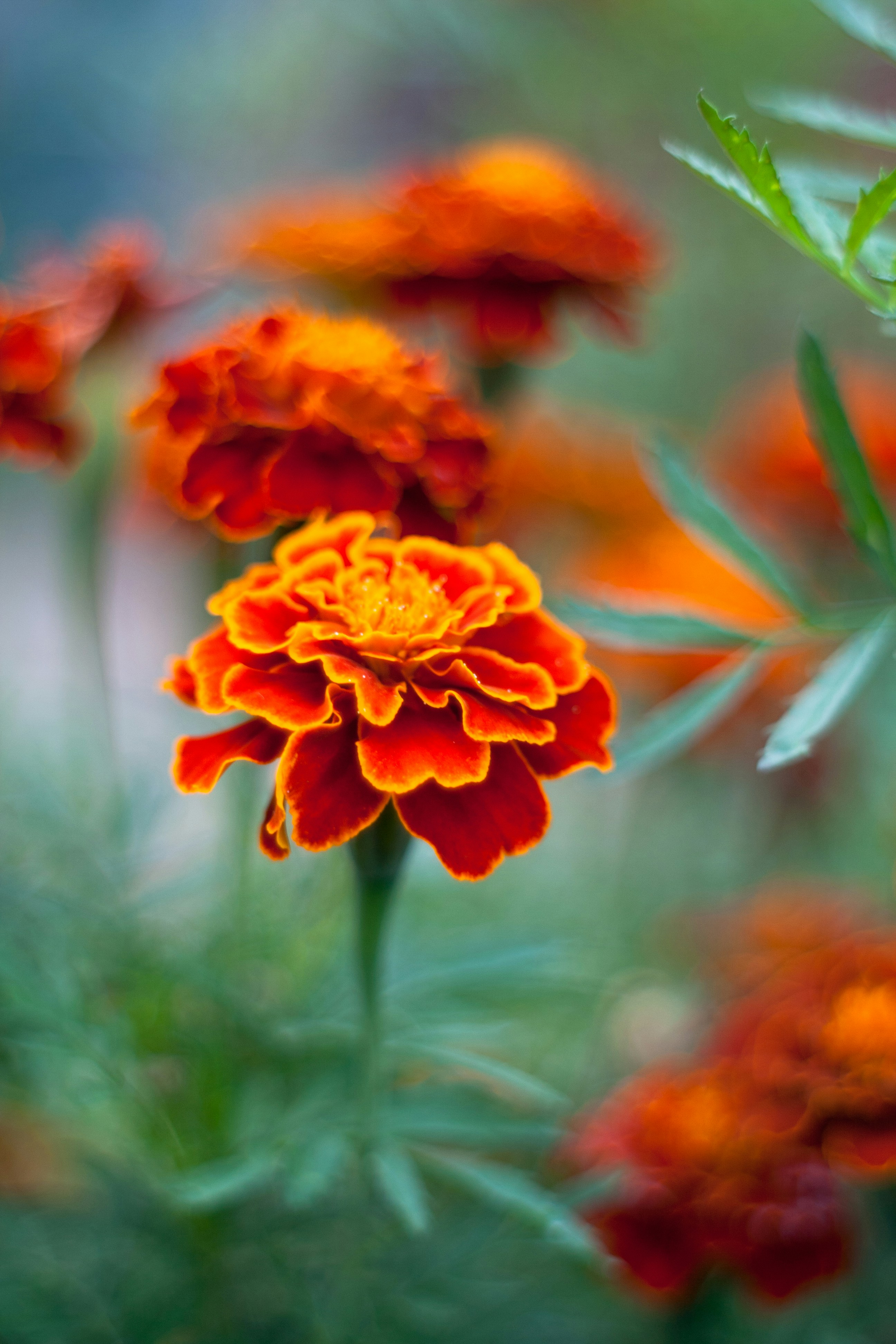 Photo by gloriaviktoriia