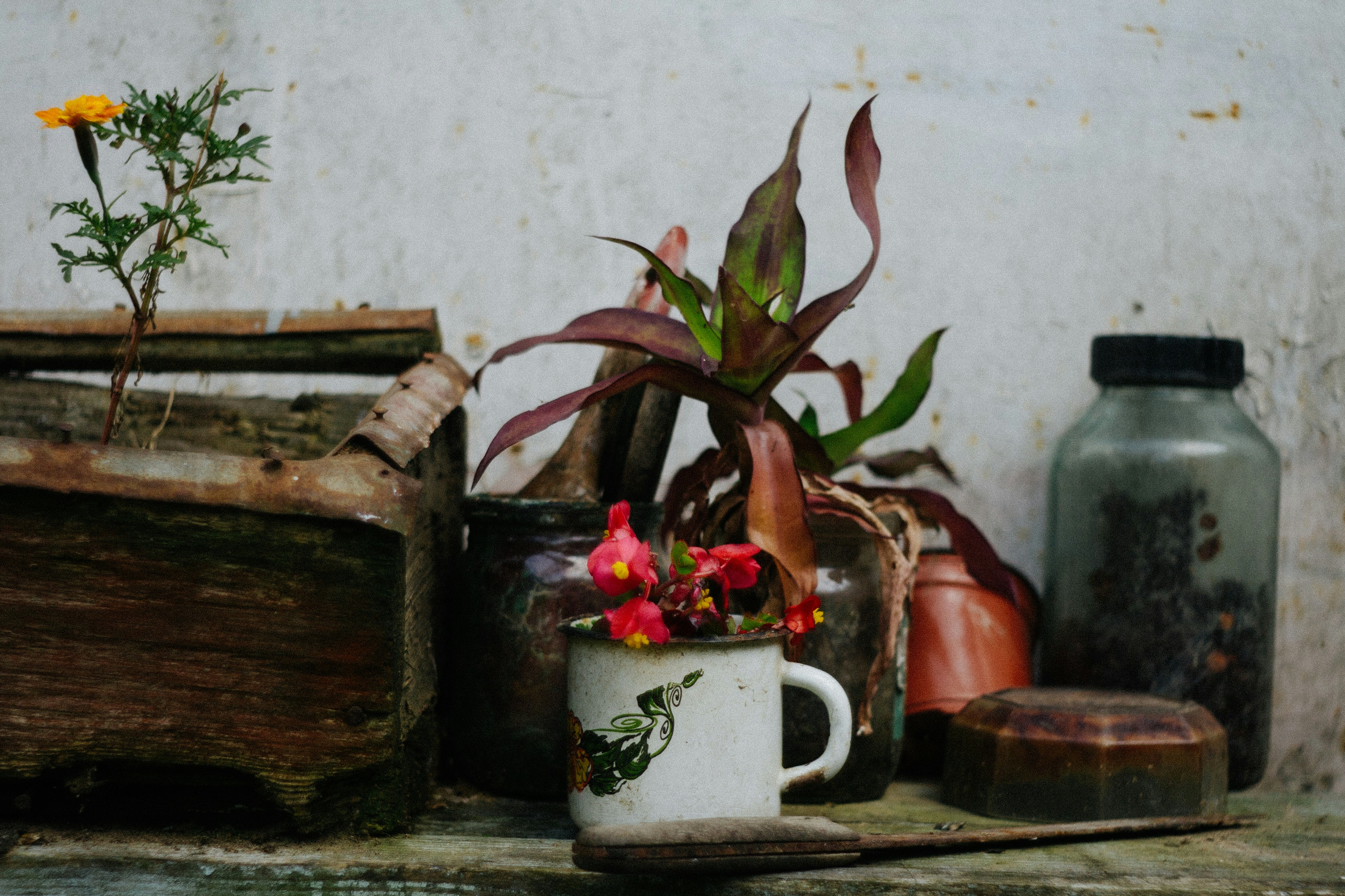 Photo by gloriaviktoriia