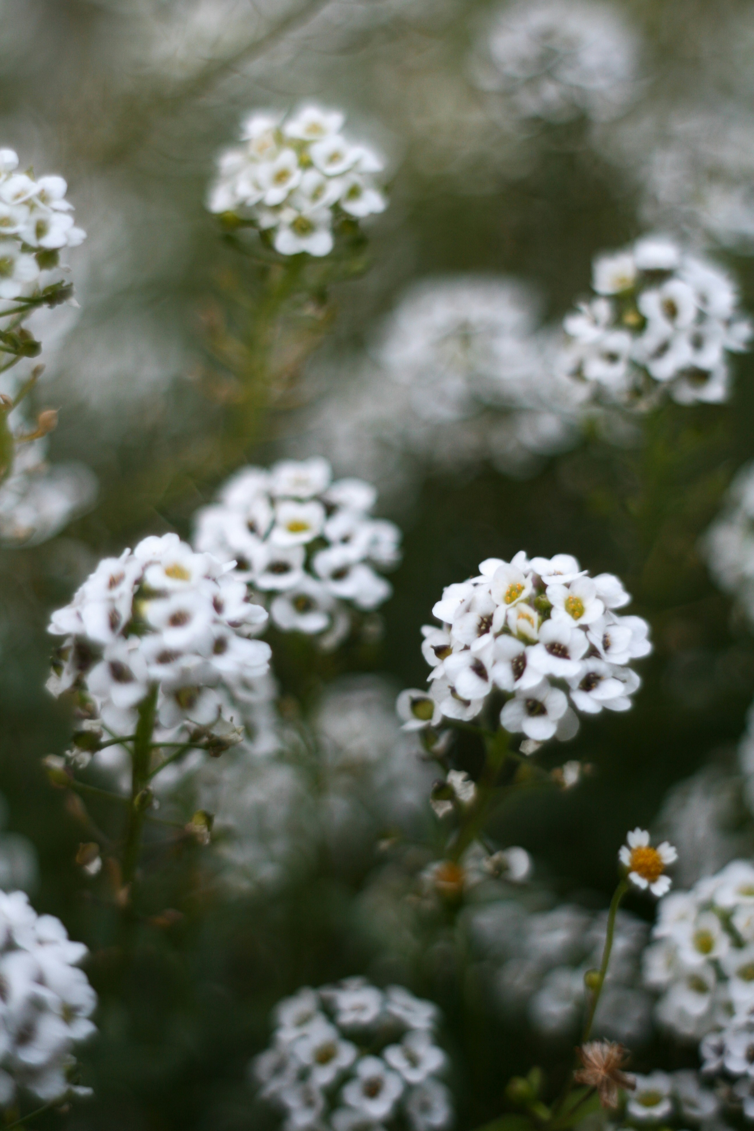 Photo by gloriaviktoriia