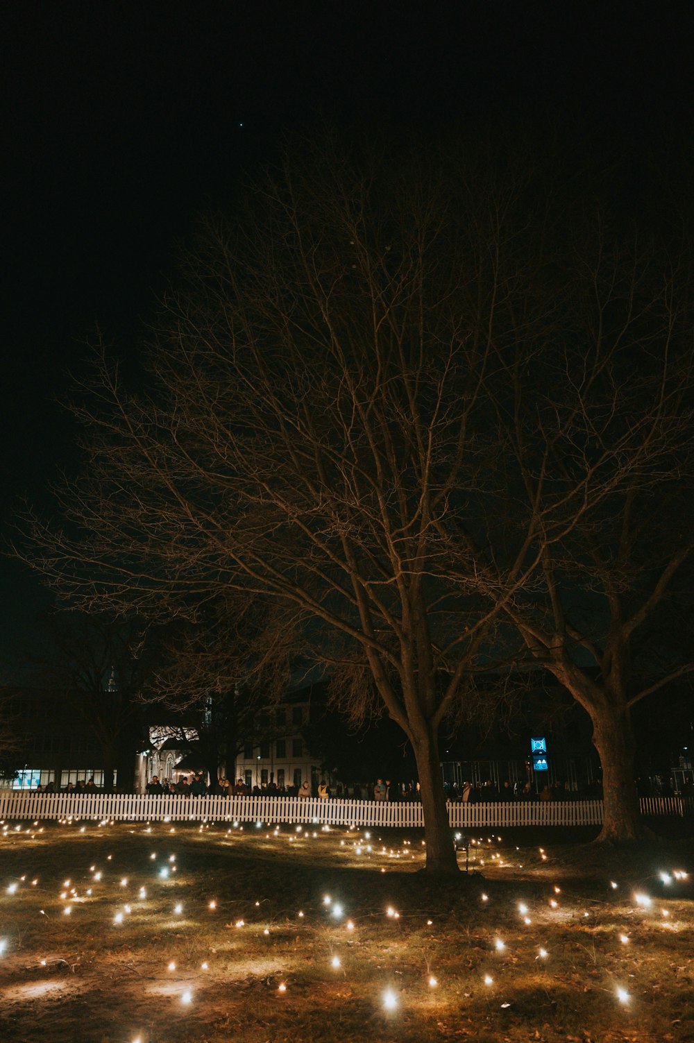 a tree with many lights around it at night