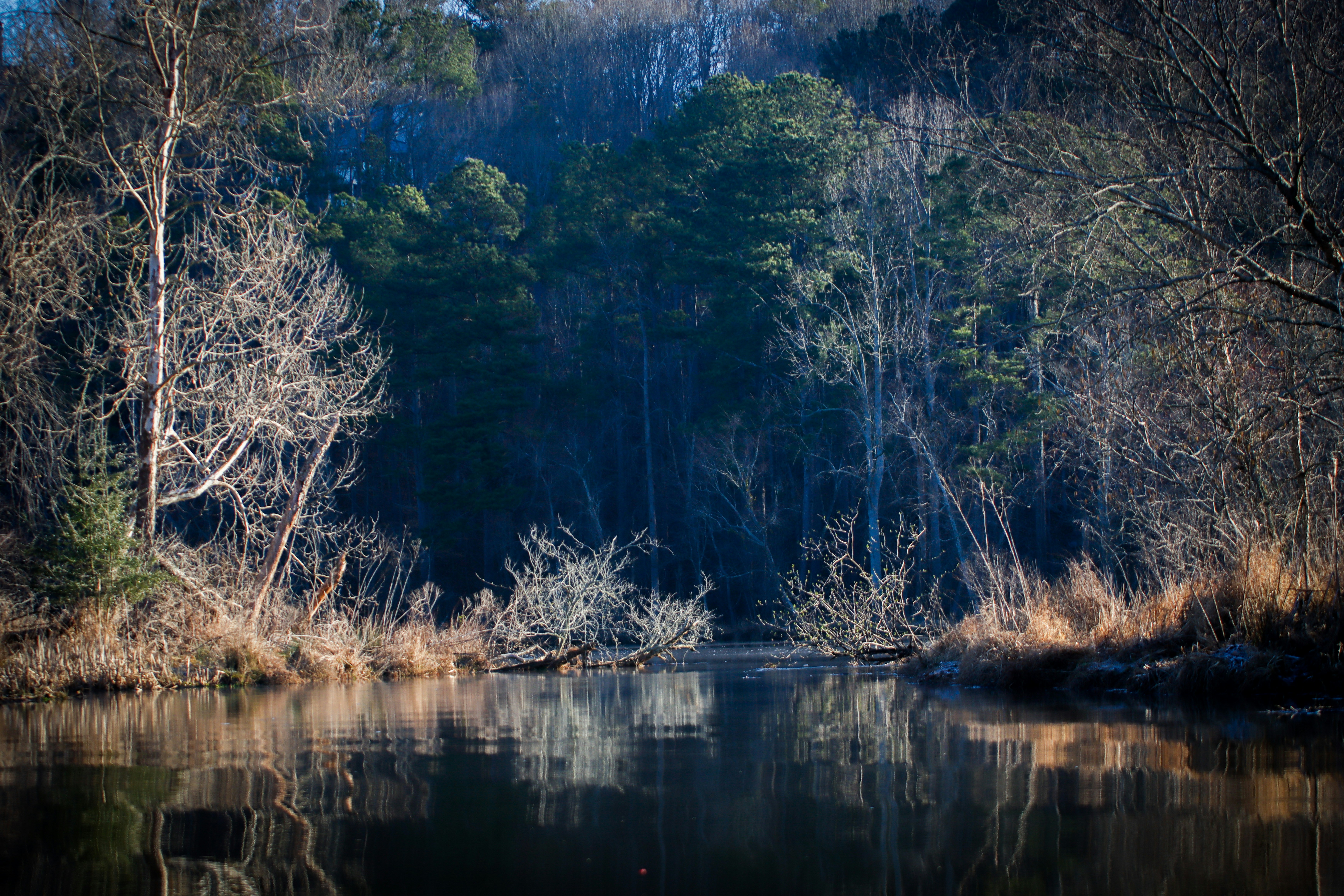 Photo by alla_kemelmakher