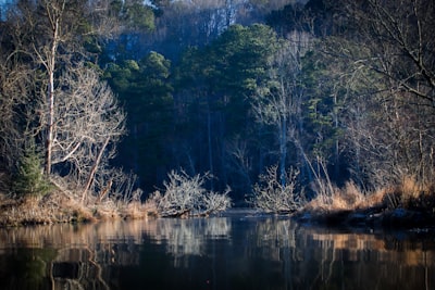 Chattahoochee River