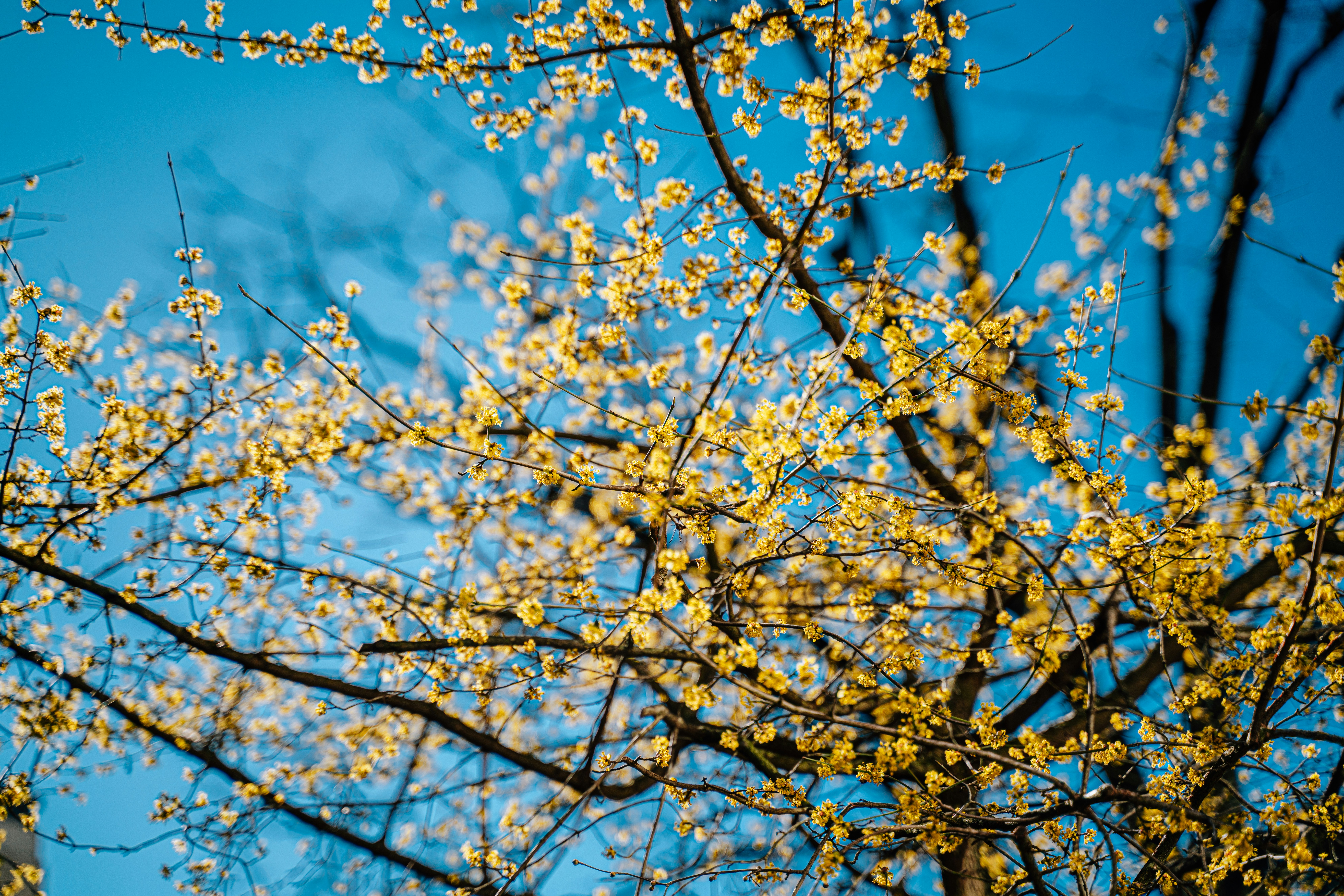 Photo by mattmutluu