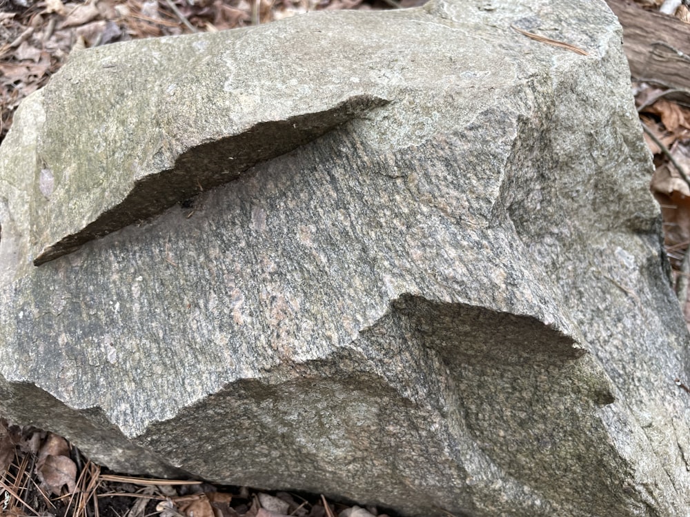 a close up of a rock with holes in it