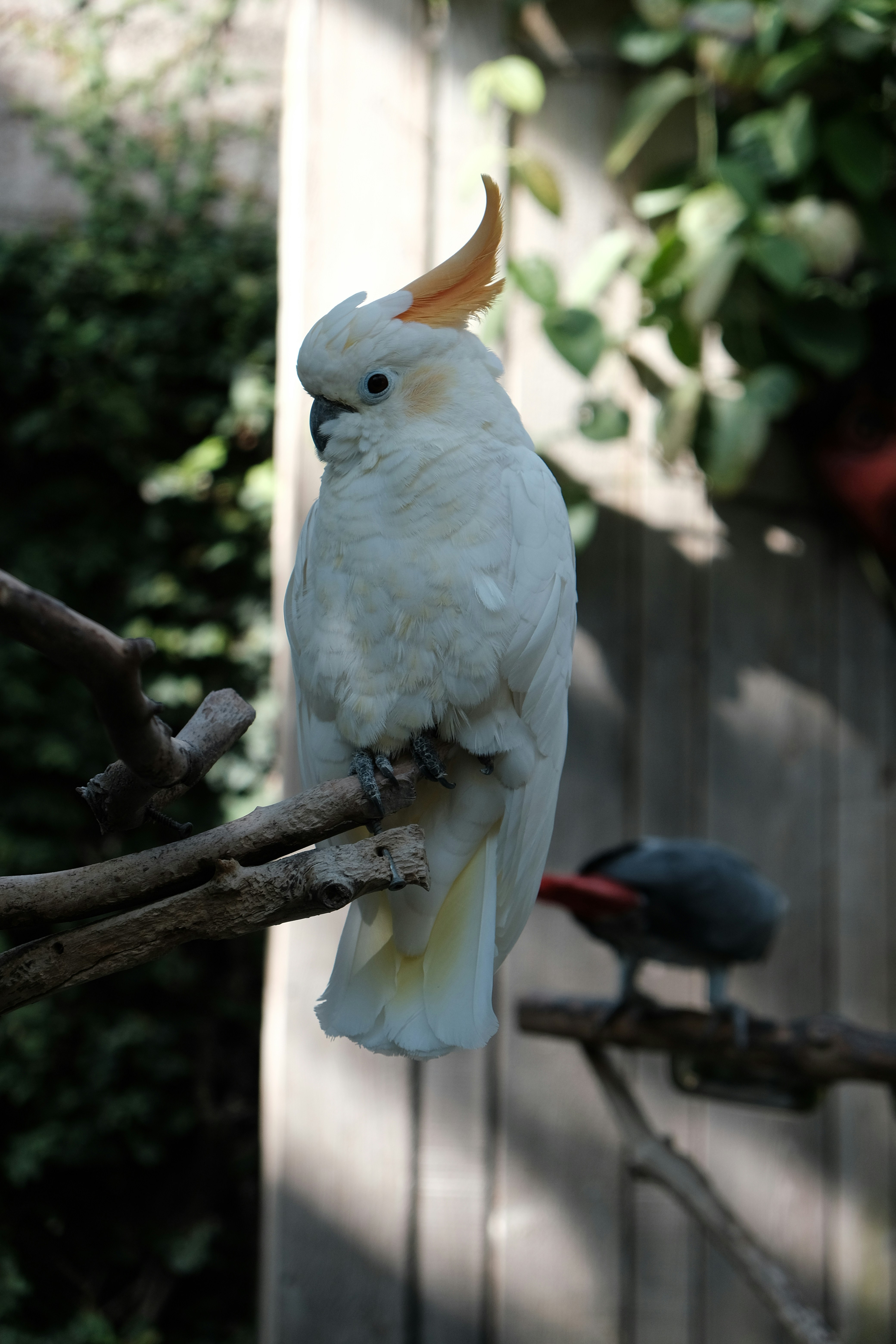 Photo by arvindale021