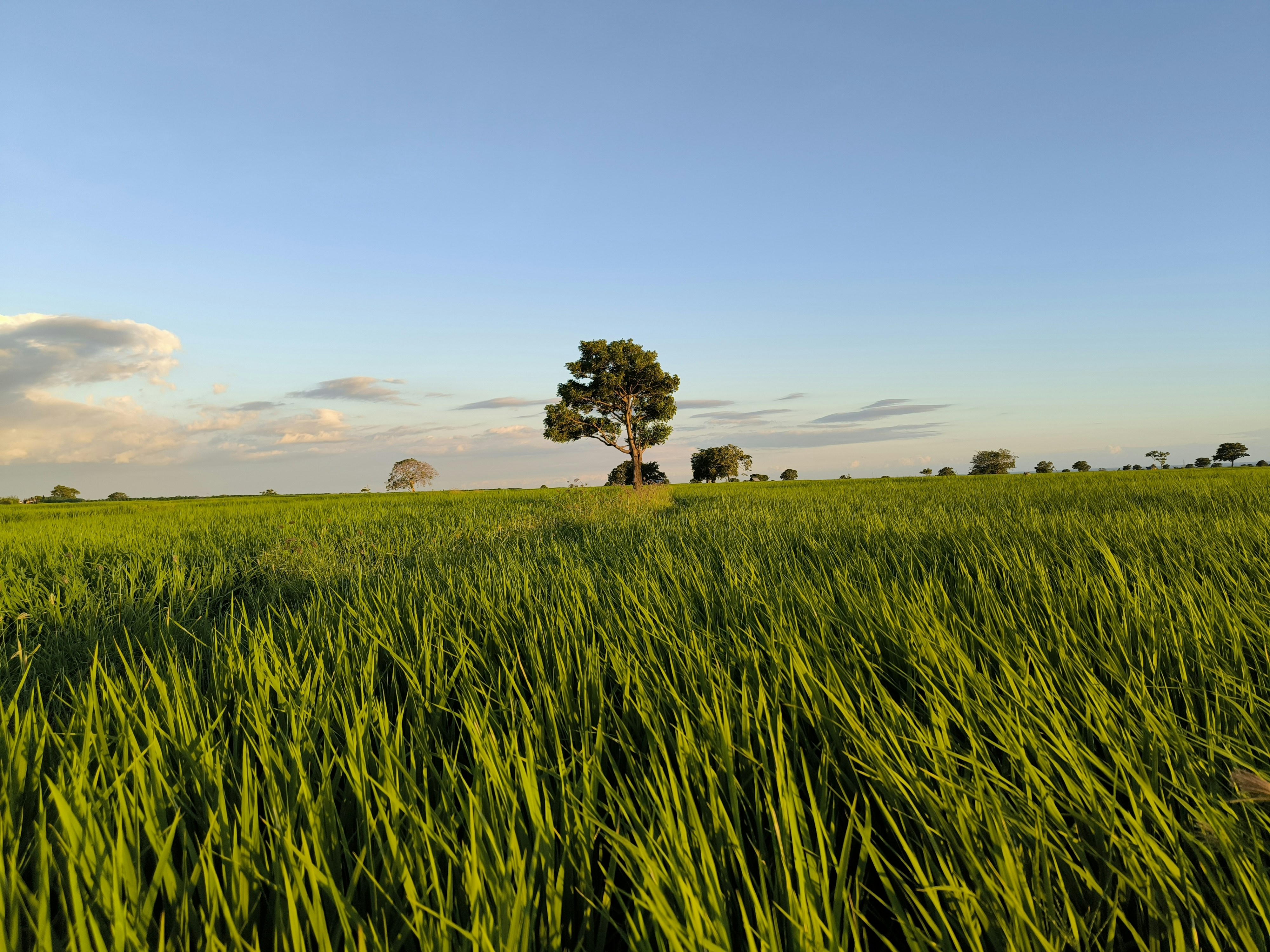 Photo by alfian_bustaman