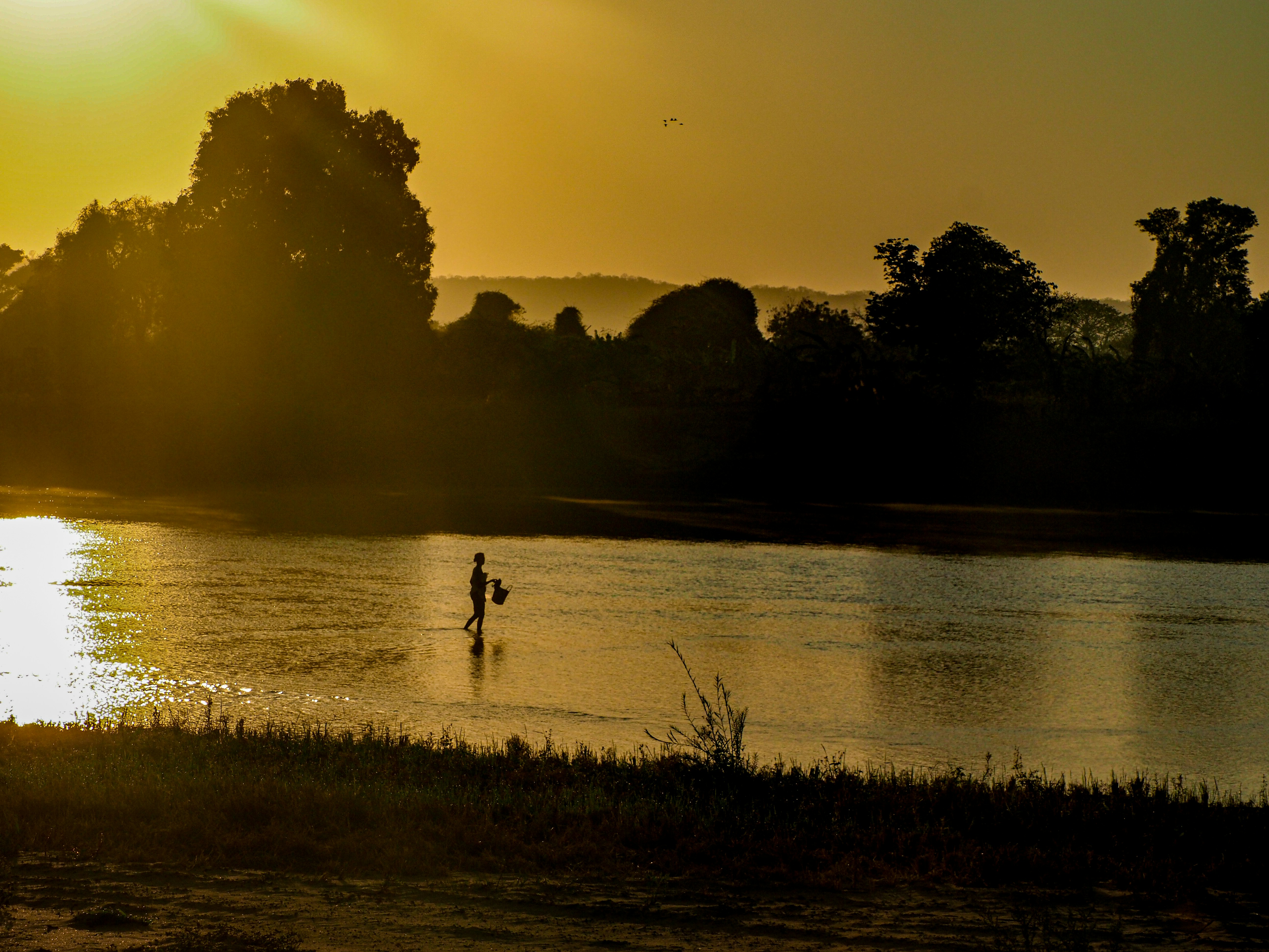 Photo by lderksen