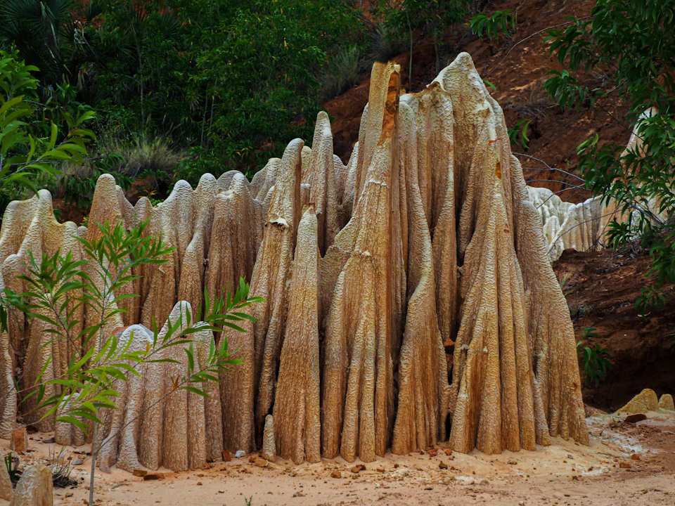 The image depicts a large, light brown rock formation with numerous pointed, spiky structures that resemble tree trunks or other natural forms. The rocks are situated on a hillside, surrounded by lush greenery and trees. The perspective of the photo is from below, looking up at the towering rock formation against a backdrop of verdant foliage.

The image does not contain any discernible text or human-made objects, making it an intriguing scene that showcases the natural beauty of the landscape.