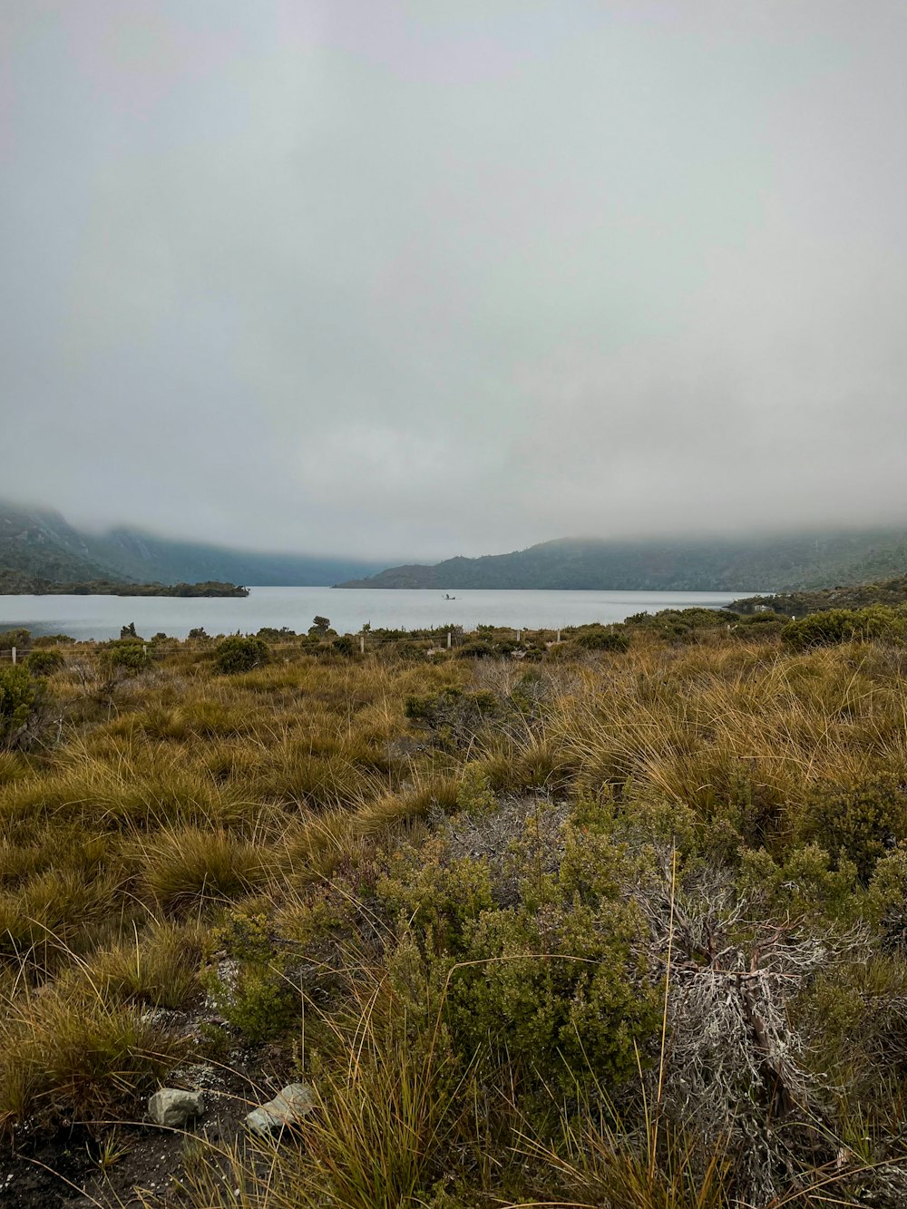 un campo con un cuerpo de agua a lo lejos